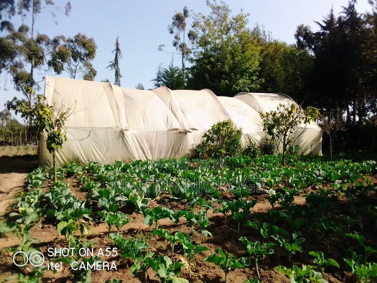 18 Acres Farm Plus Operating School in Magumu