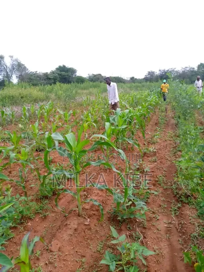 Kithimani Plots in Kithimani