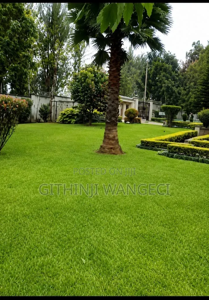 4bdrm Mansion in Karen for sale in Karen C