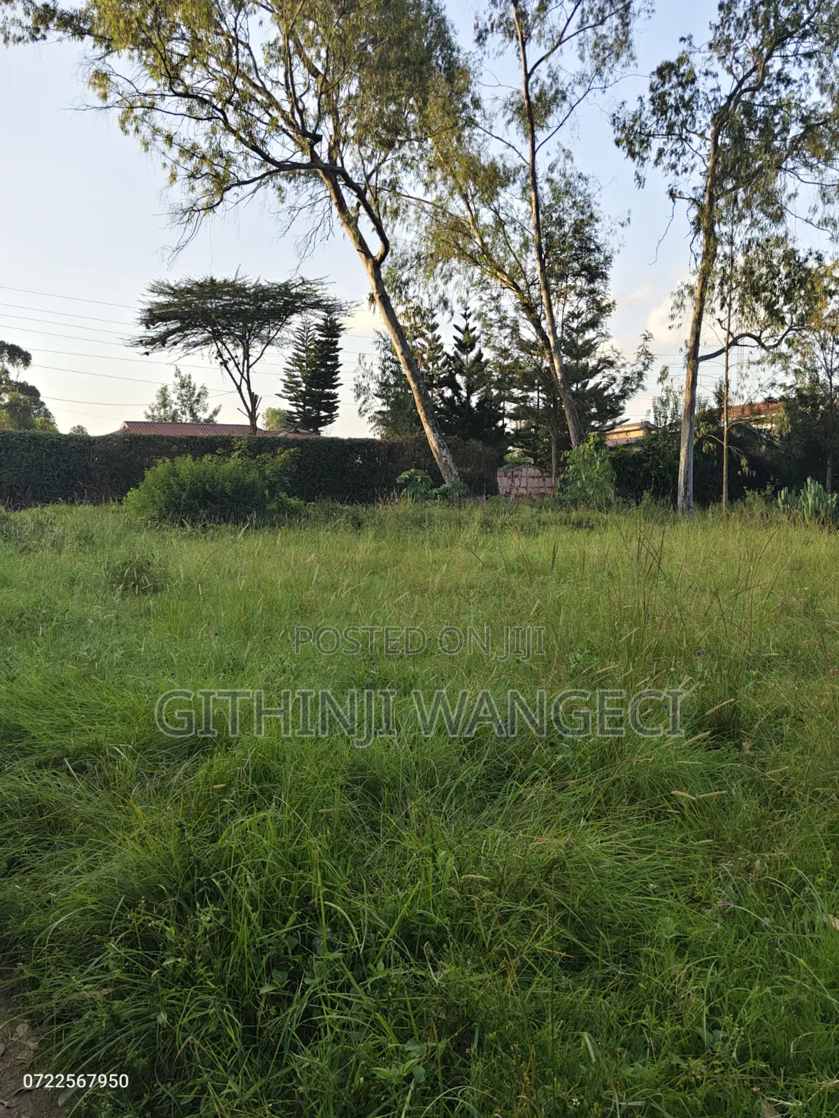 4bdrm Mansion in Karen for sale in Karen C