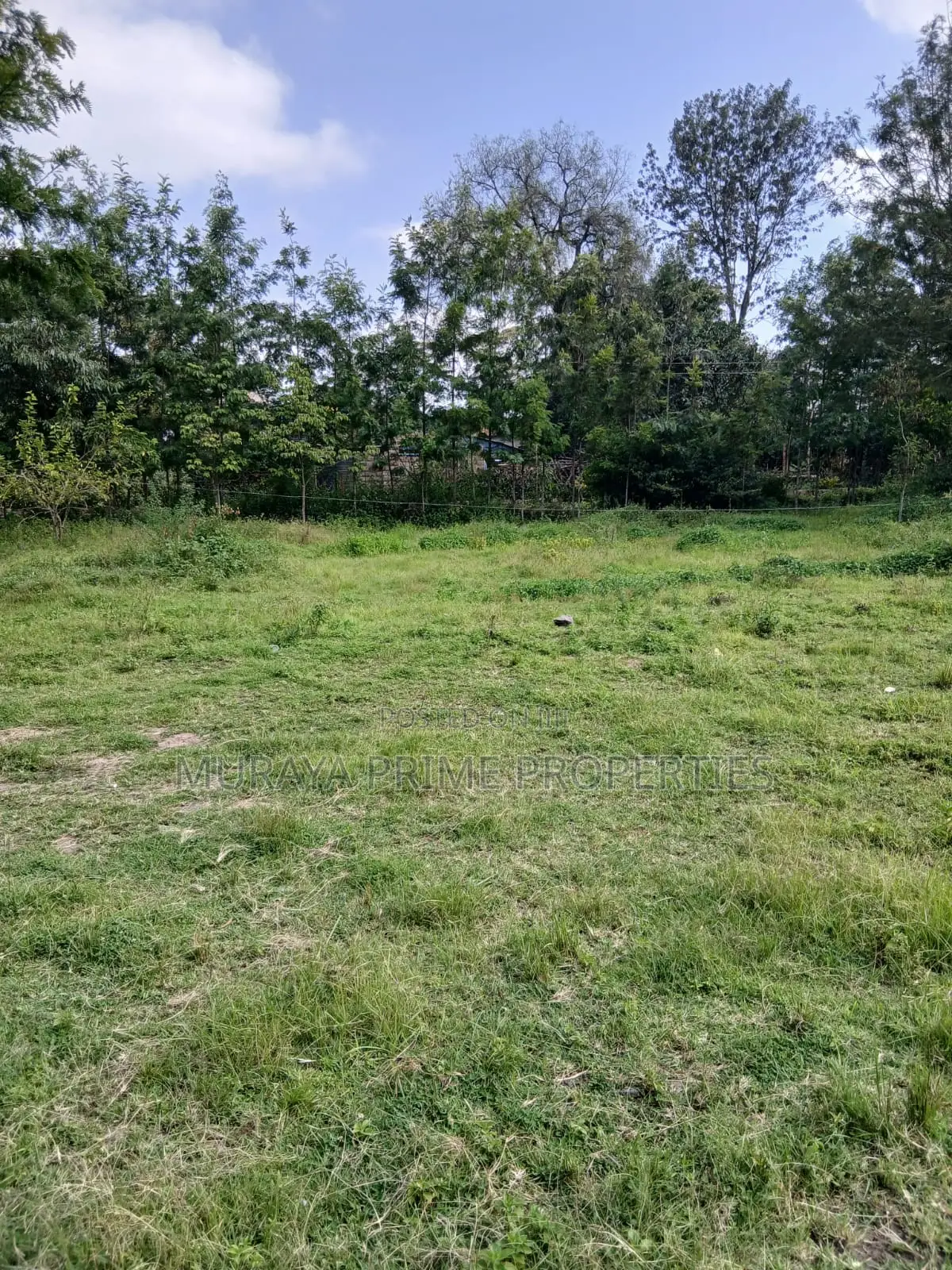Prime Quarter-Acre in Kerarapon