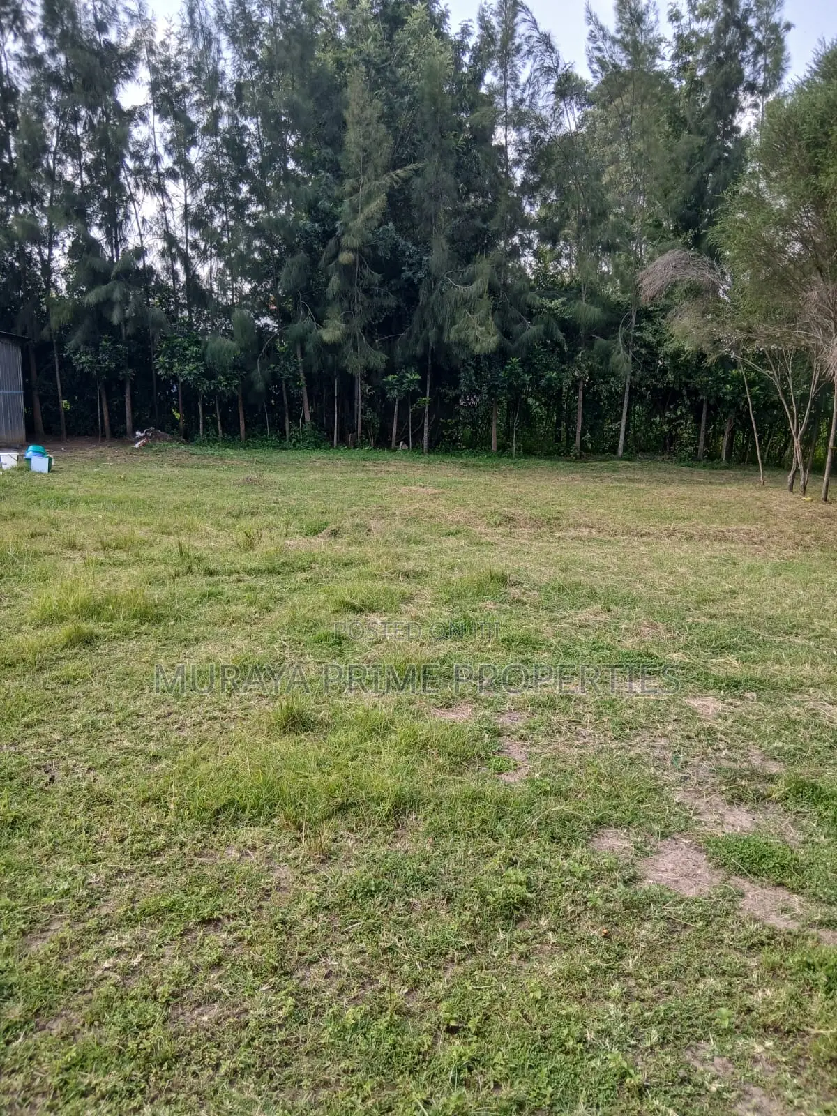 Prime Quarter-Acre in Kerarapon
