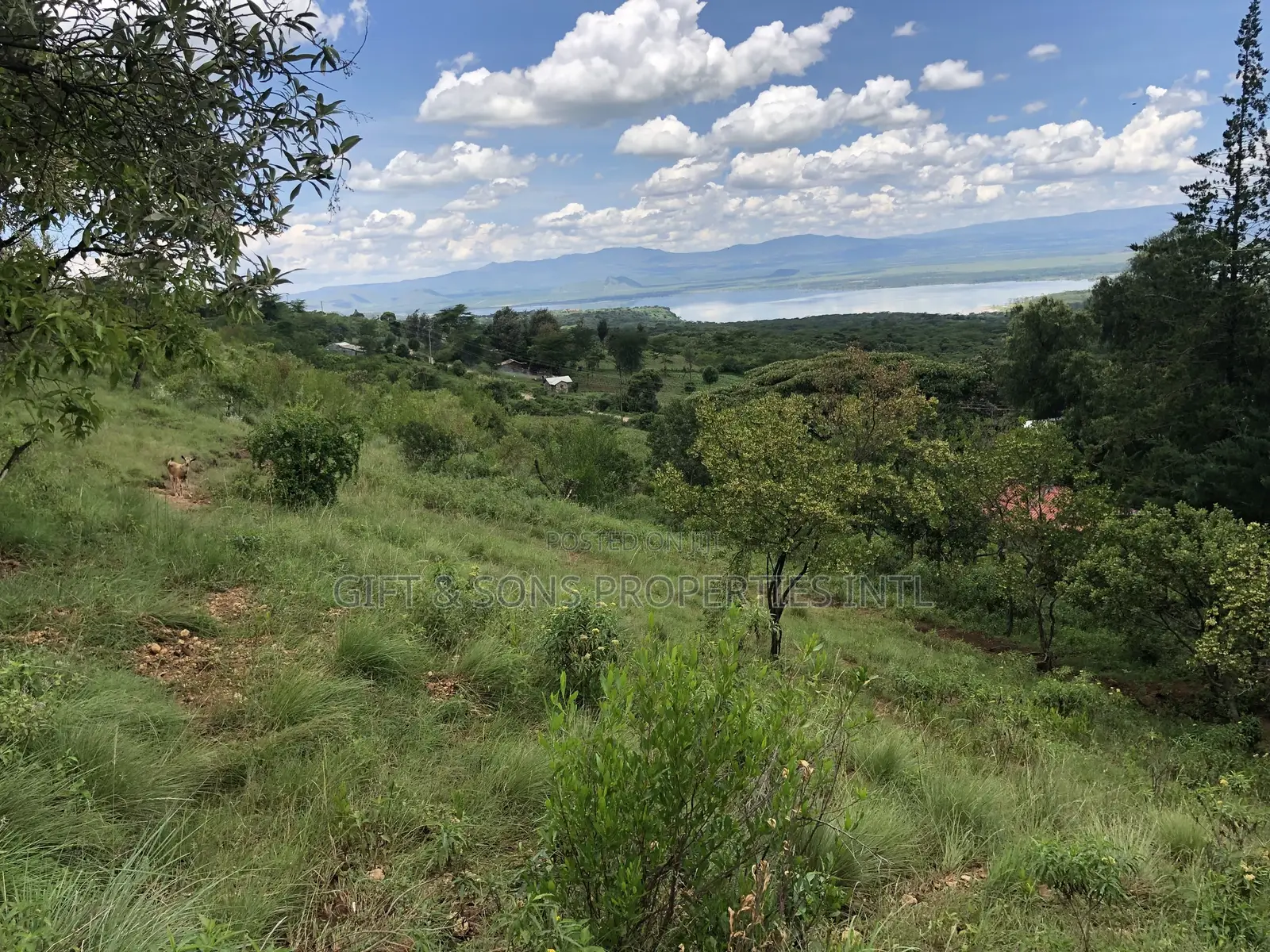 Prime 1acre Land in Gilgil With Stunning Views of Lake Elementainta in Elementaita