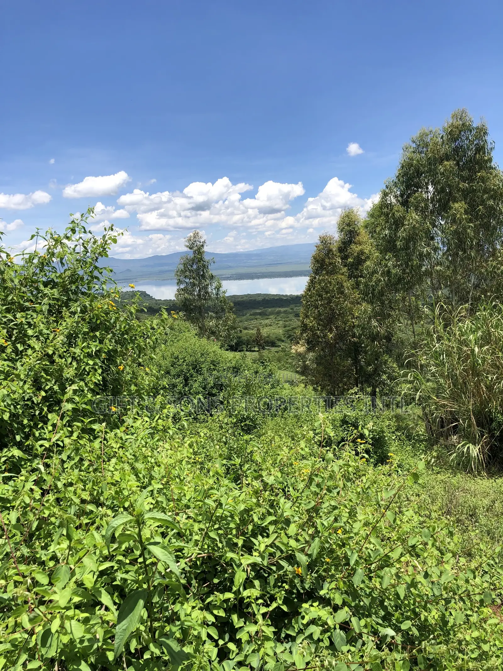 Prime 1acre Land in Gilgil With Stunning Views of Lake Elementainta in Elementaita