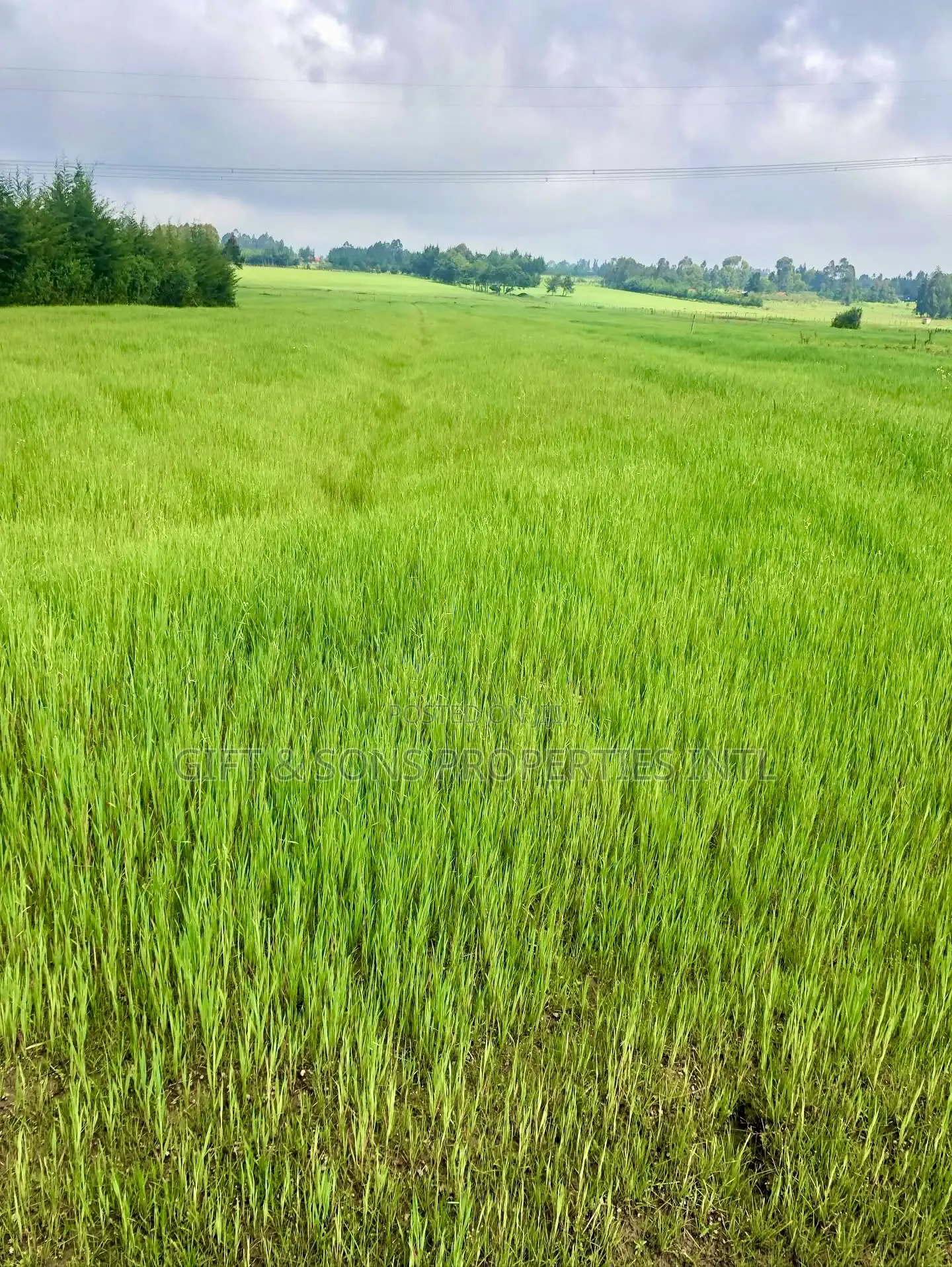 7 Acres Farmland For Sale In Naivasha in Naivasha East