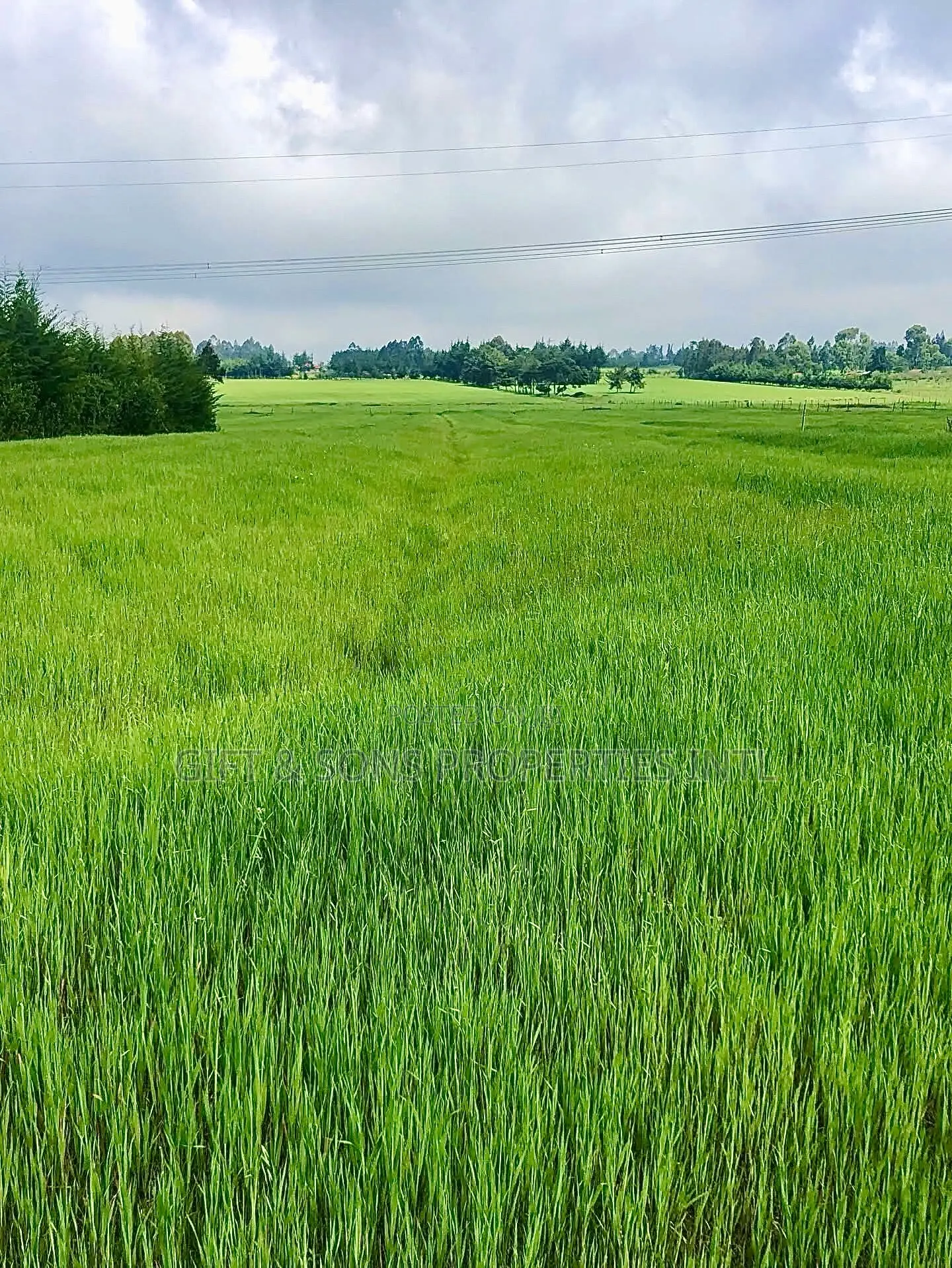 7 Acres Farmland For Sale In Naivasha in Naivasha East