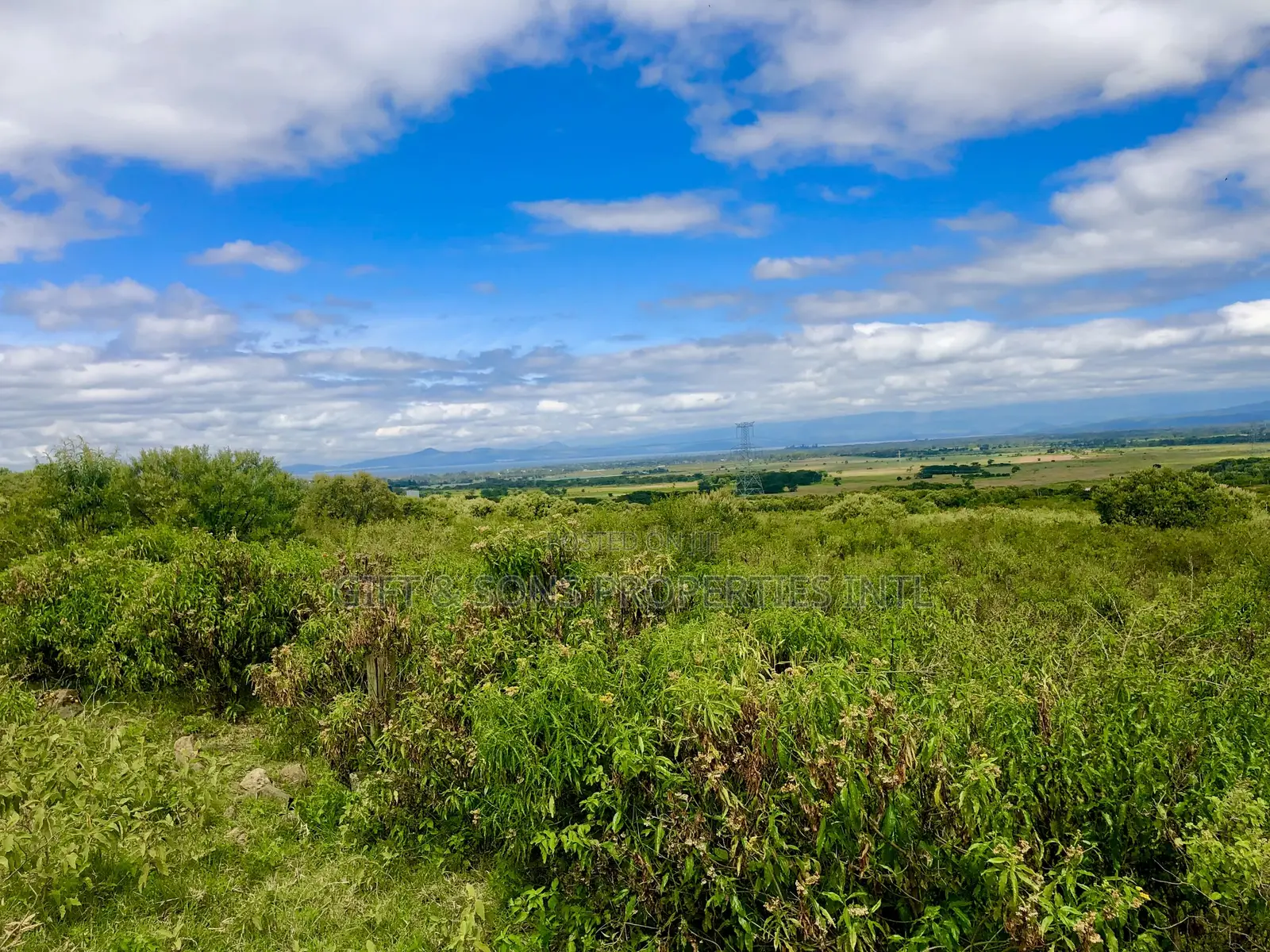 Naivasha Gated Community(Royal Homes) in Naivasha East
