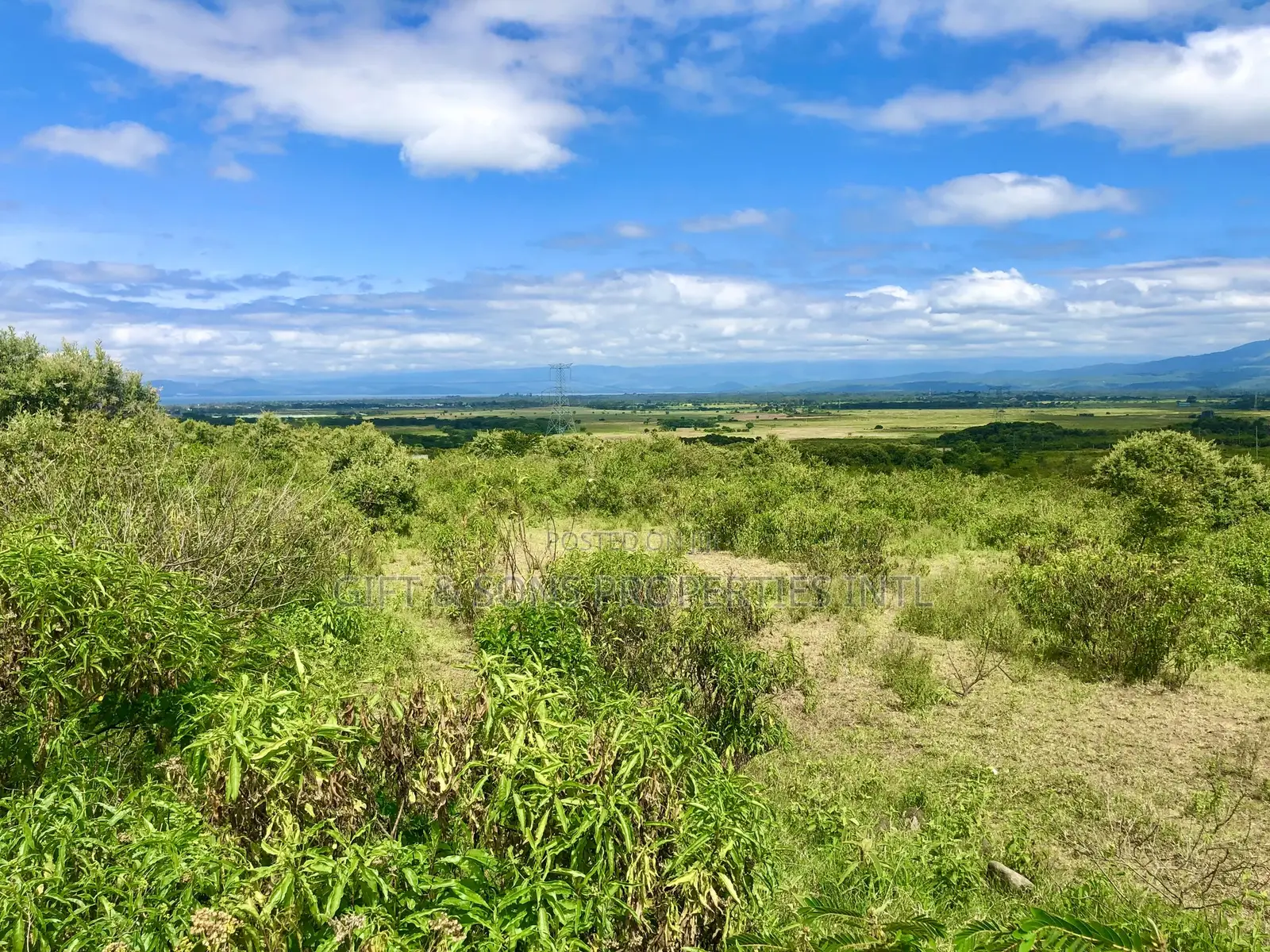 Naivasha Gated Community(Royal Homes) in Naivasha East