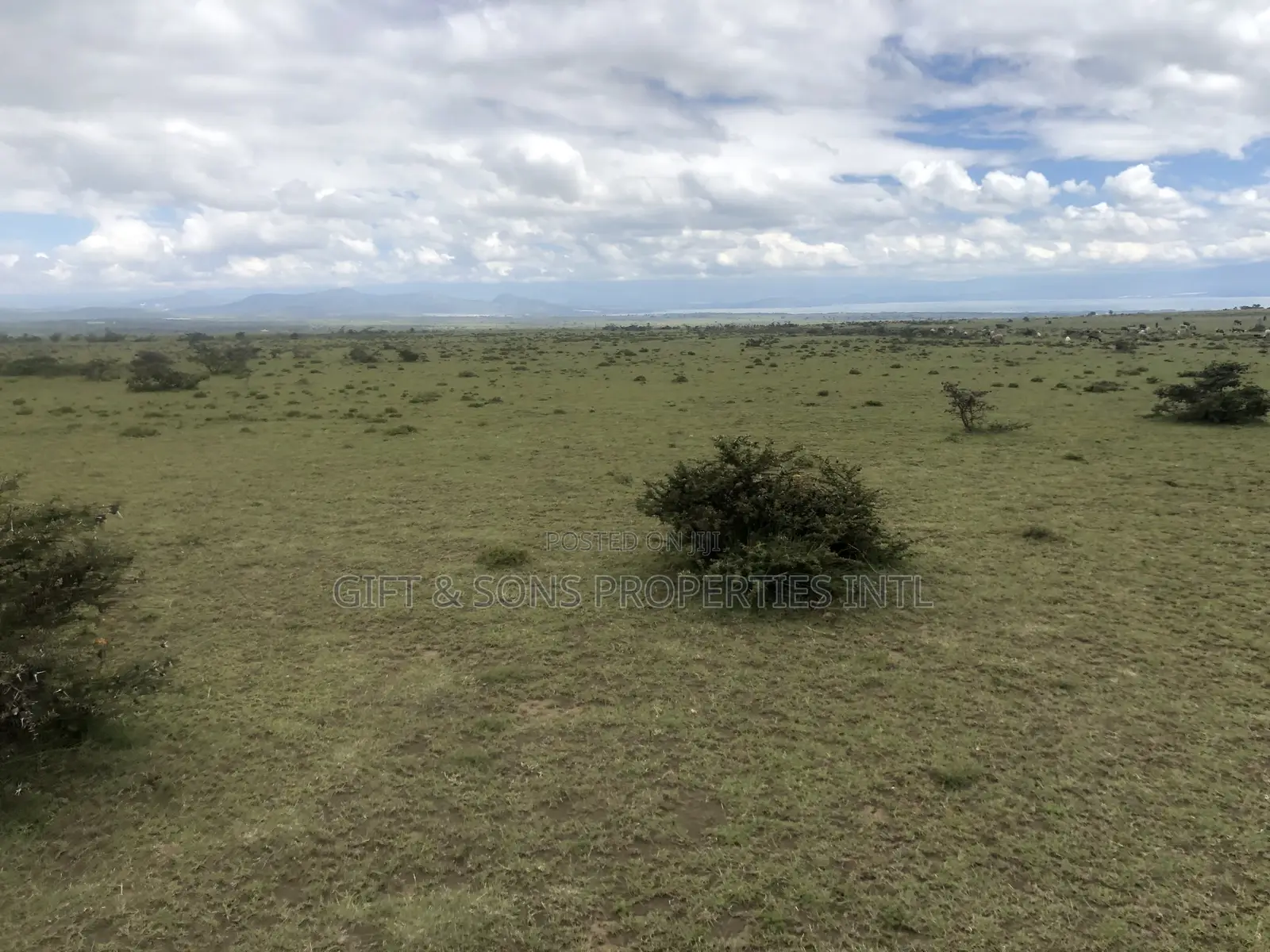 Residential Affordable Plot for Sale in Naivasha in Mirera