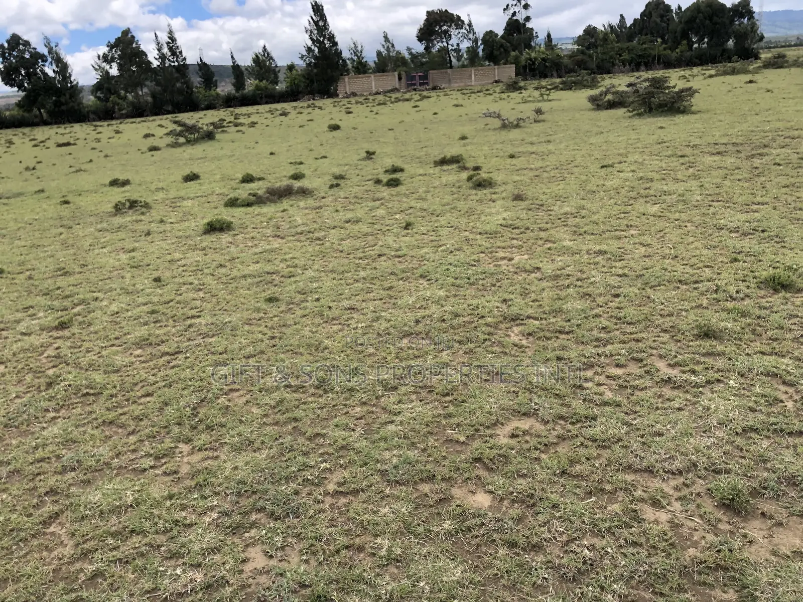 Residential Affordable Plot for Sale in Naivasha in Mirera