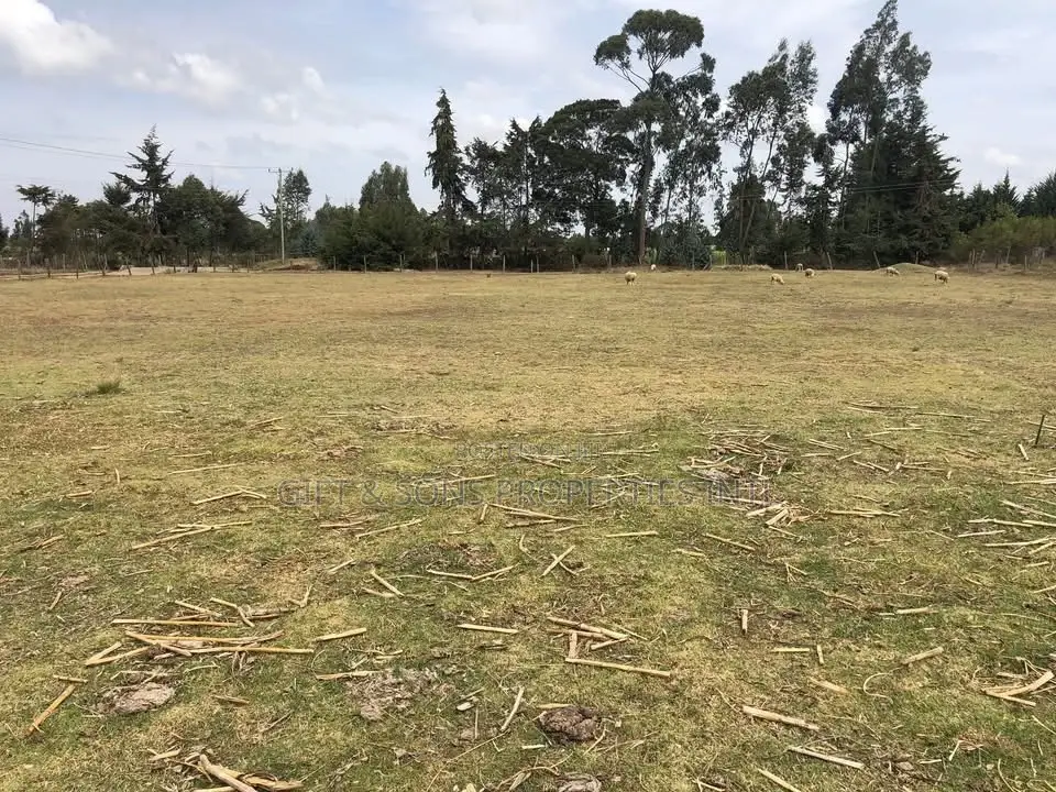 2acres Farmland in Naivasha in Naivasha East