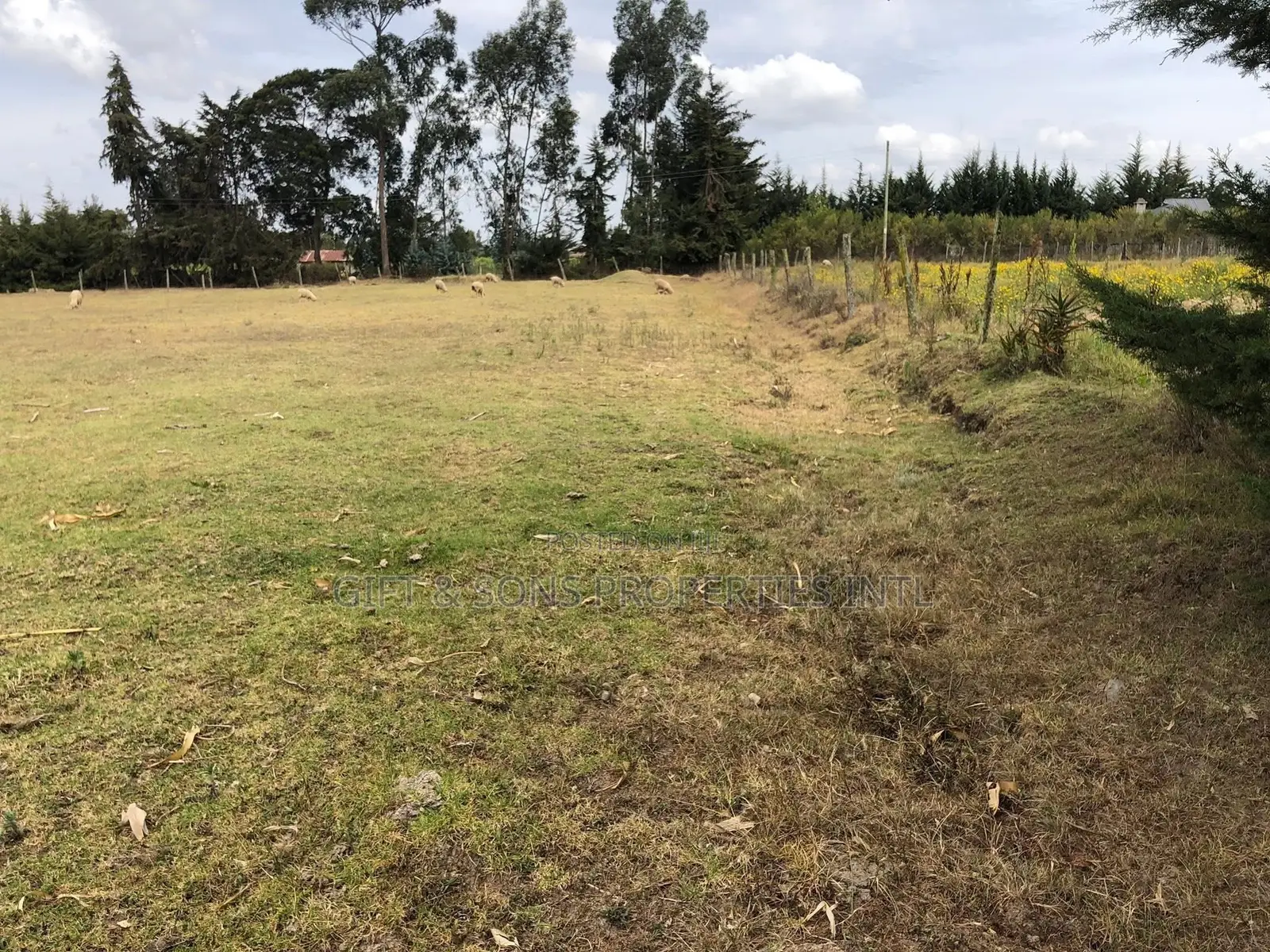 2acres Farmland in Naivasha in Naivasha East
