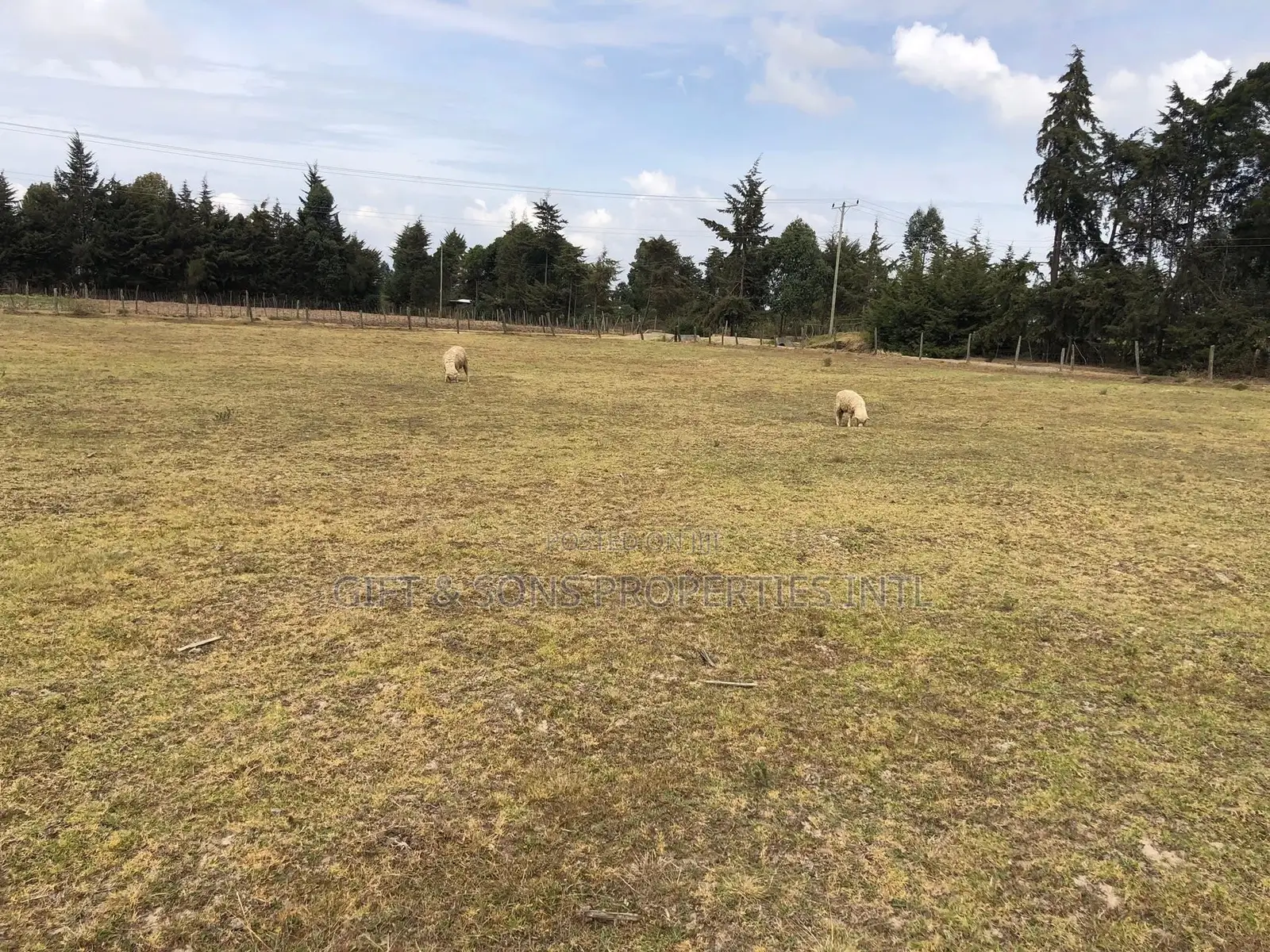 2acres Farmland in Naivasha in Naivasha East