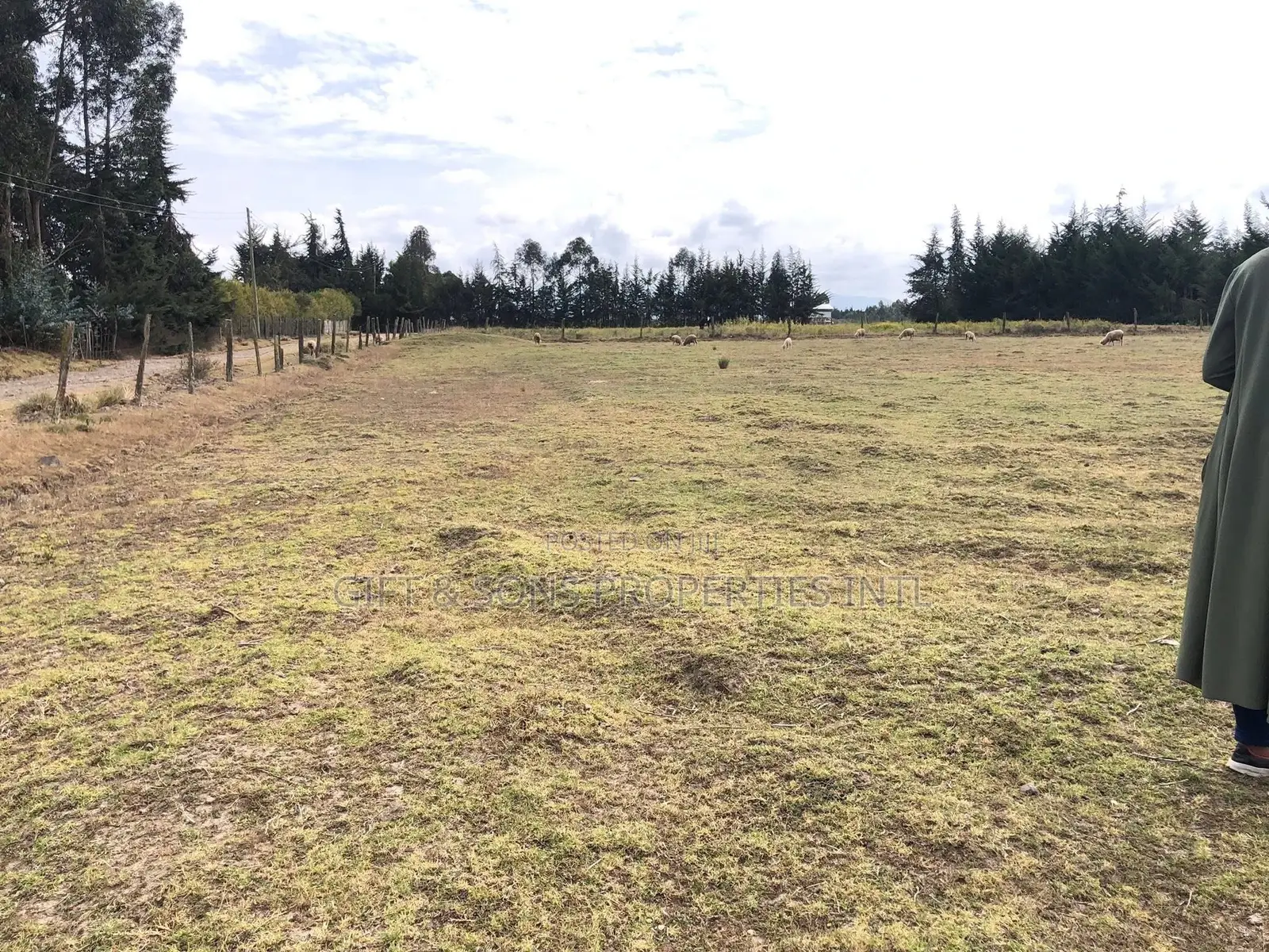 2acres Farmland in Naivasha in Naivasha East