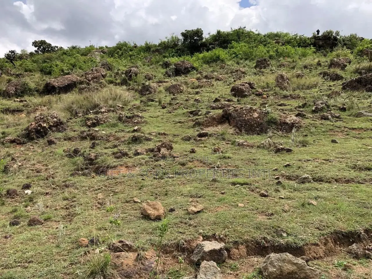 2acres on a Cliff in Olkalau Nyandarua County in Karau
