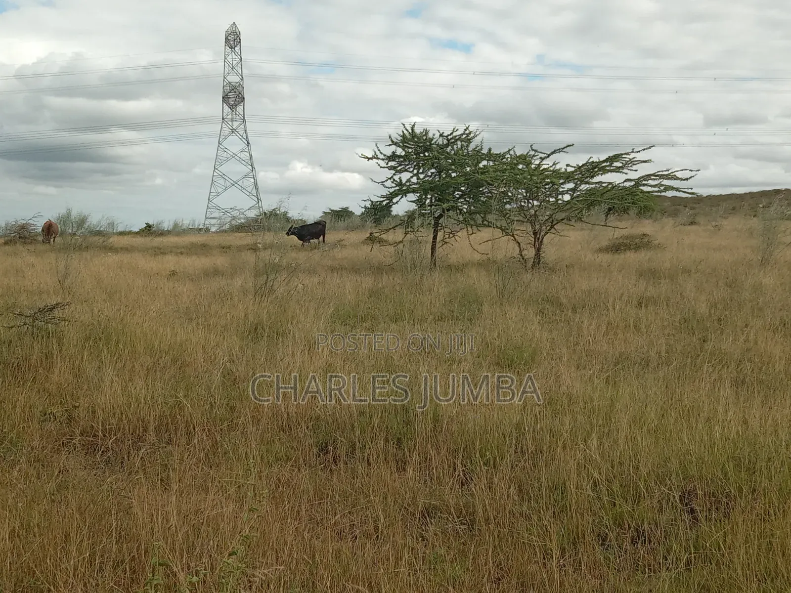 10 Acres in Kitengela Reserve in Kitengela