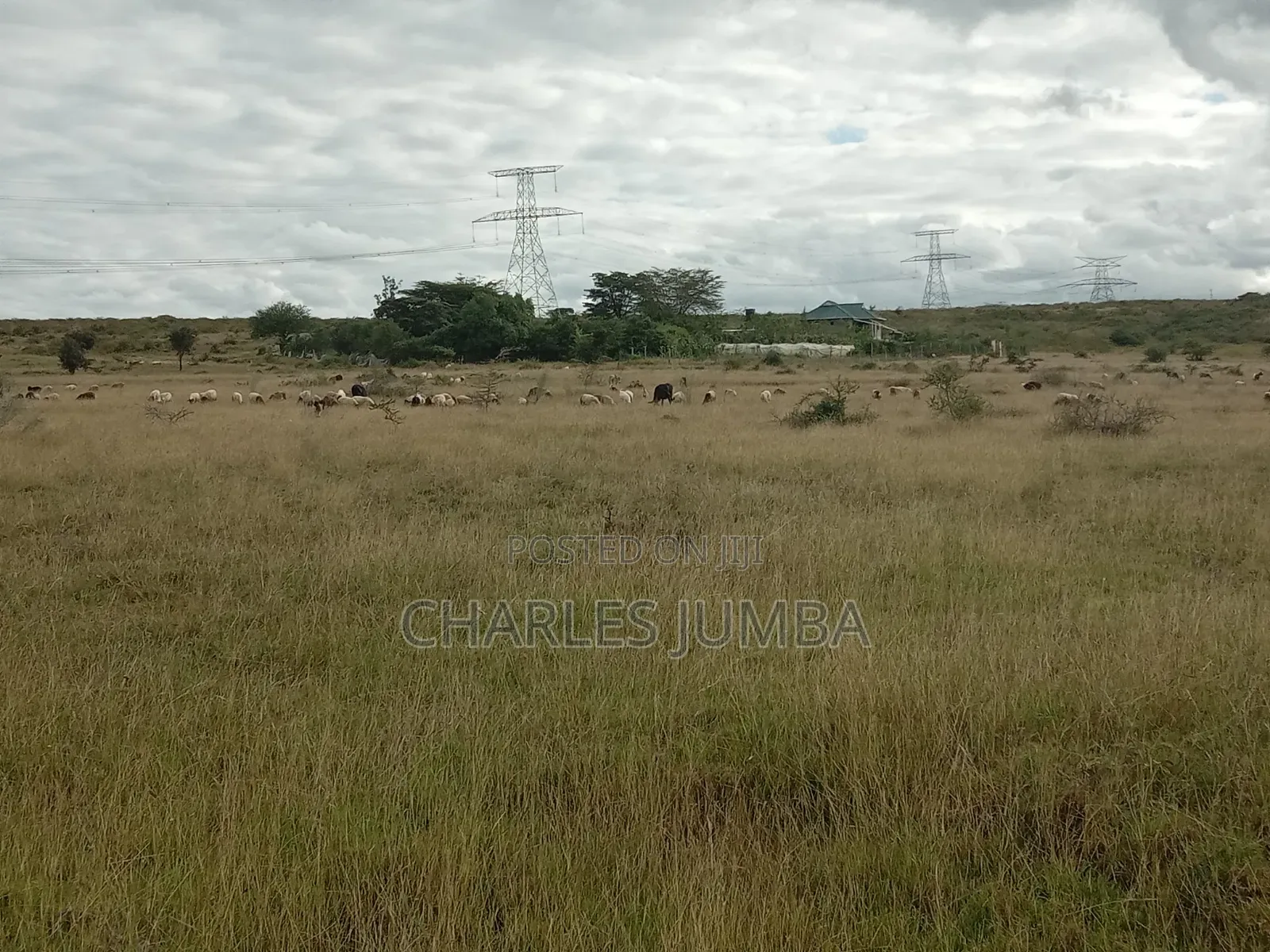 10 Acres in Kitengela Reserve in Kitengela