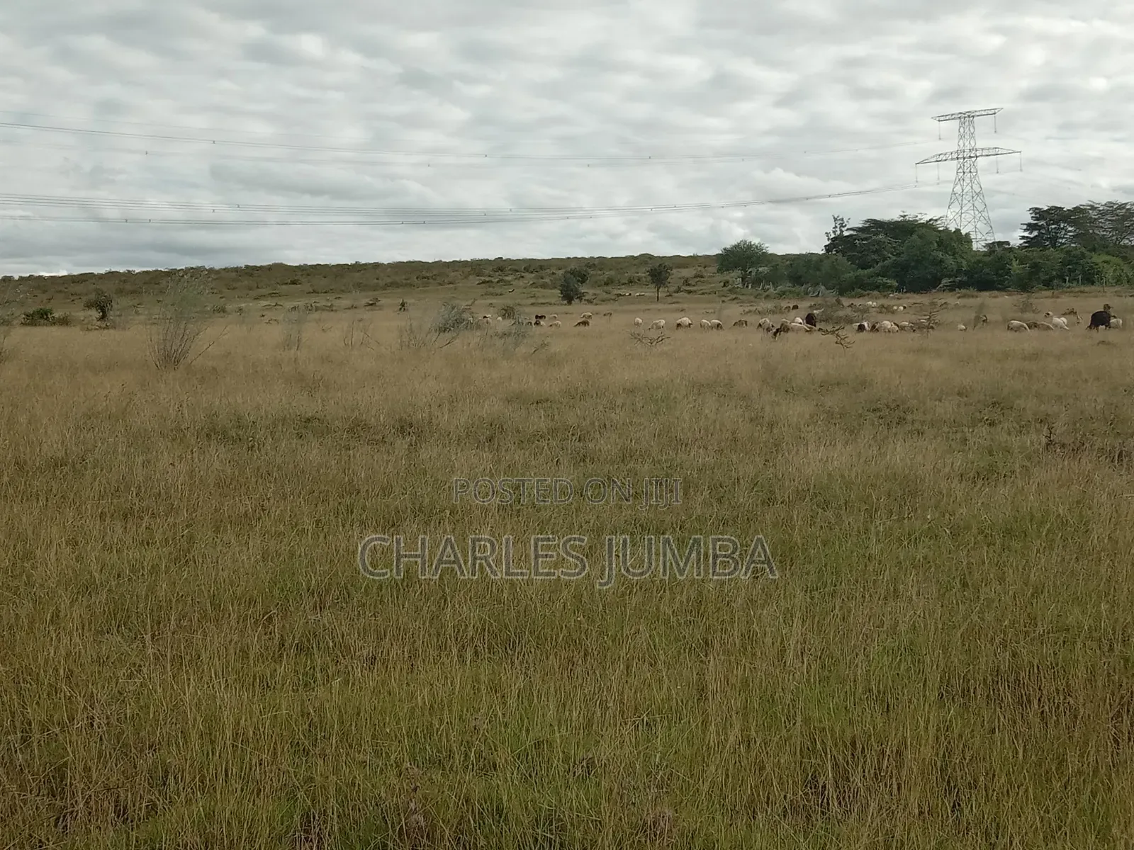 10 Acres in Kitengela Reserve in Kitengela