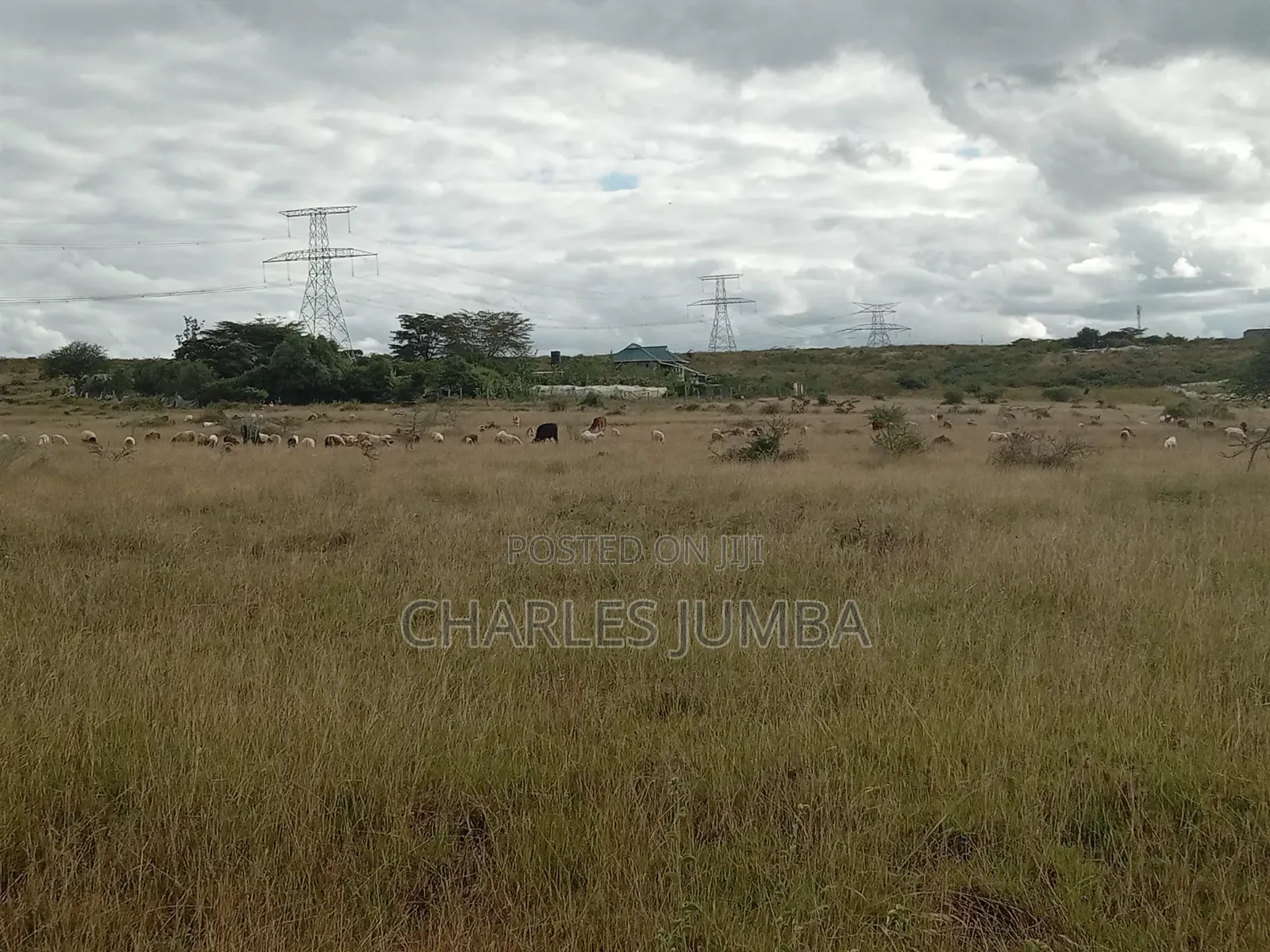 10 Acres in Kitengela Reserve in Kitengela