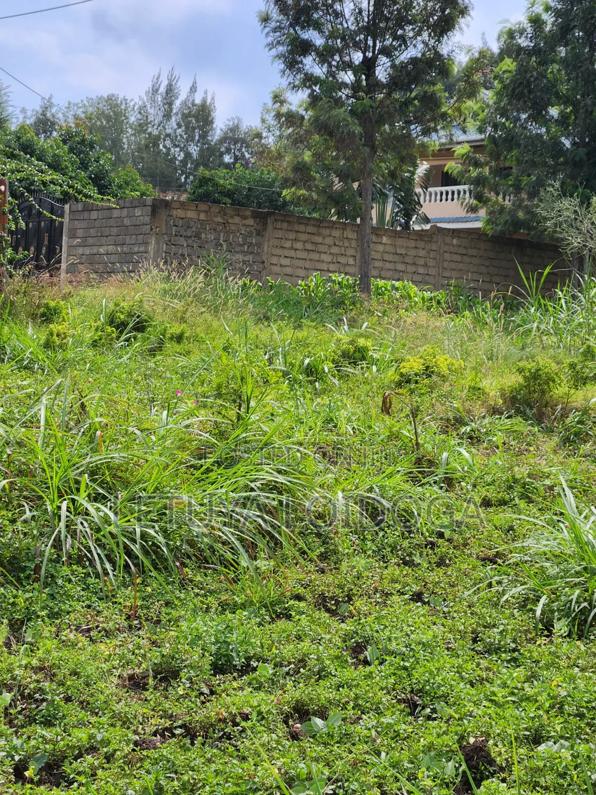 1⁄4 Acre Ngong-Memusi in Matasia