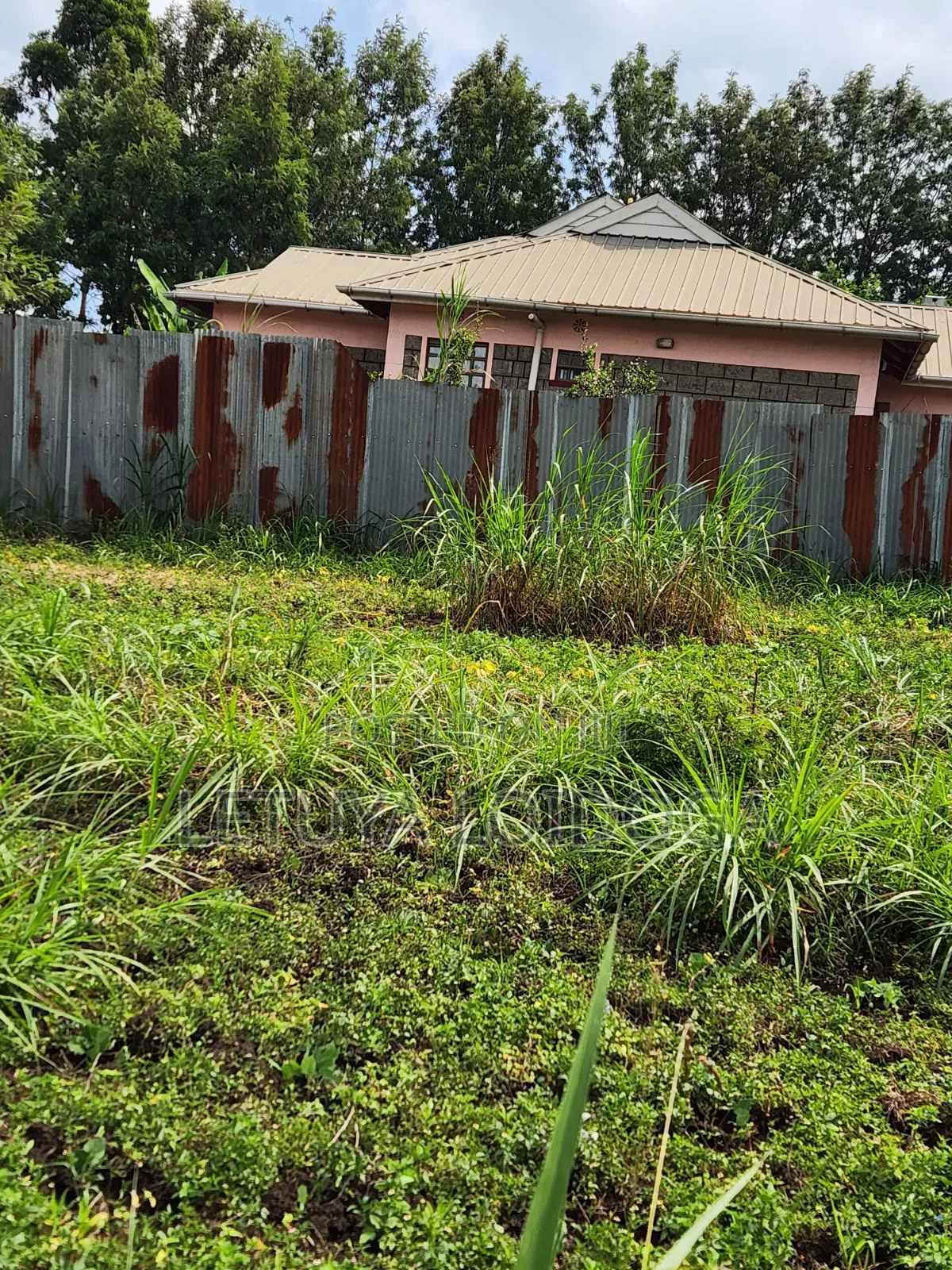 1⁄4 Acre Ngong-Memusi in Matasia