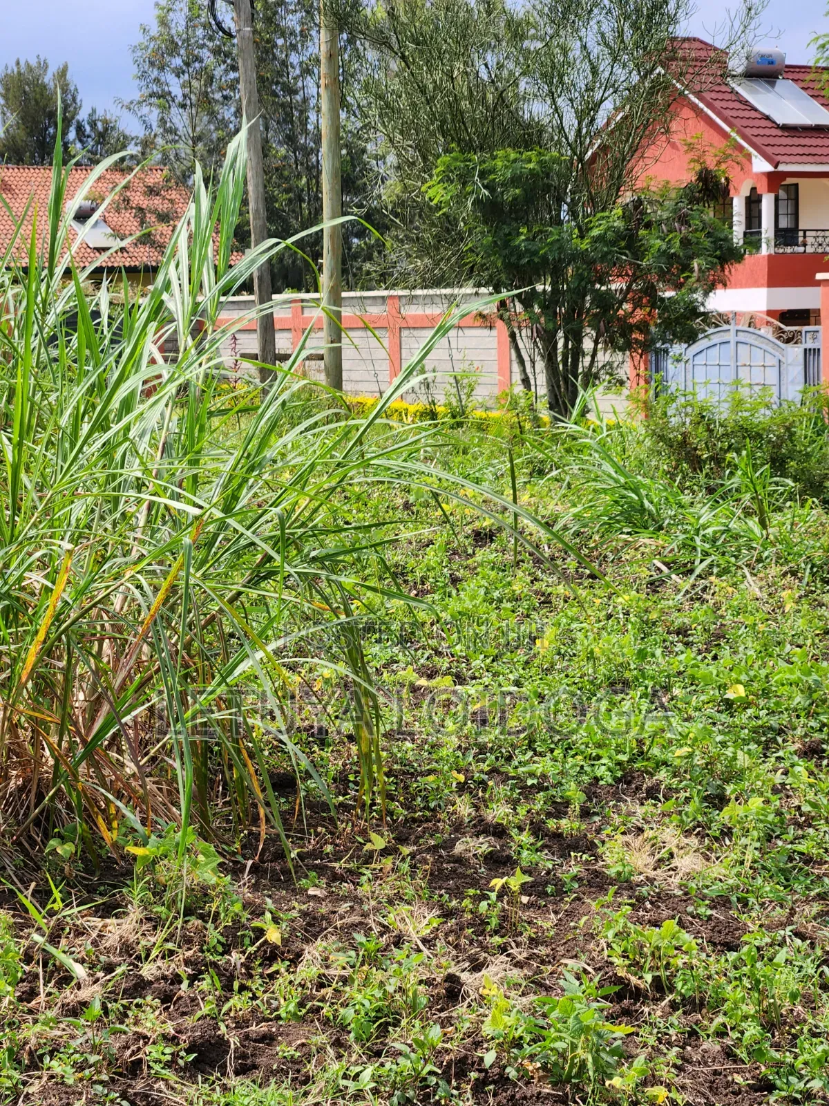 1⁄4 Acre Ngong-Memusi in Matasia