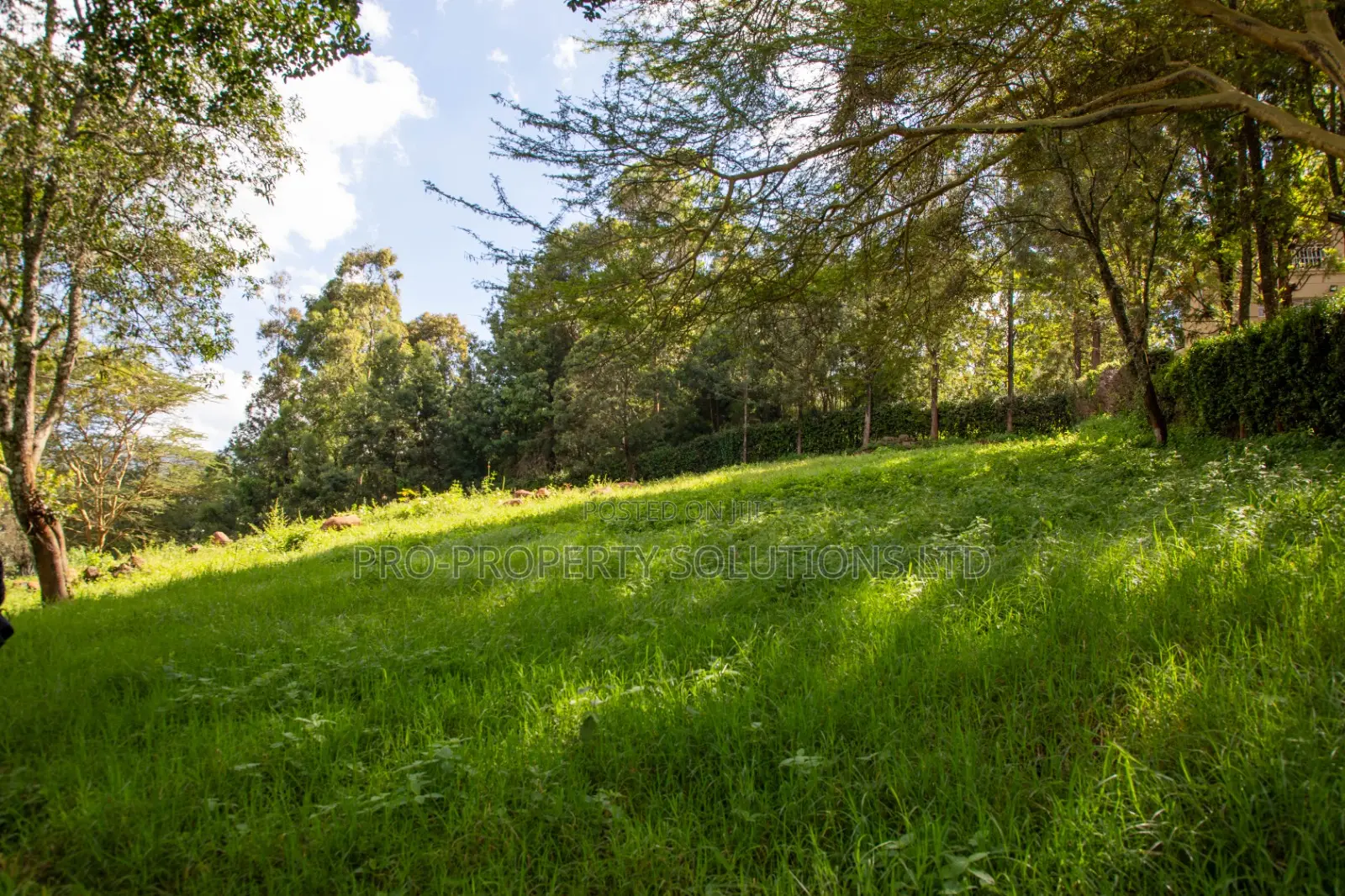 Prime 2-Acre Residential Land for Sale in Ngong – Matasia in Ngong