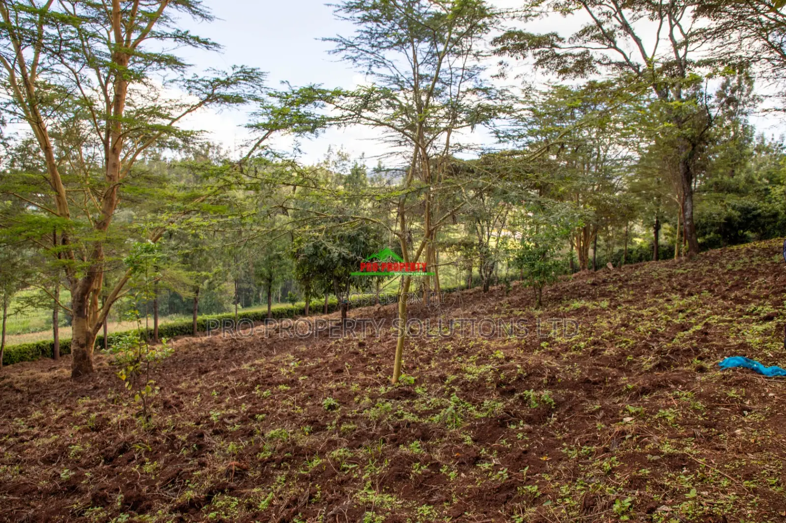 Prime 2-Acre Residential Land for Sale in Ngong – Matasia in Ngong