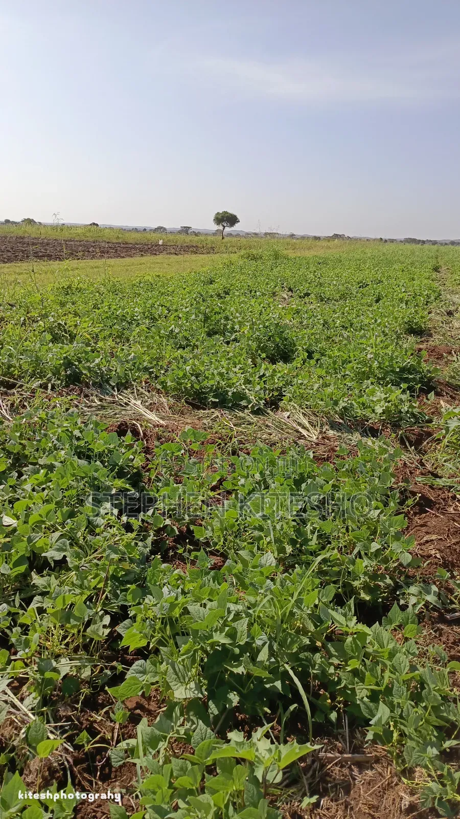 20acres for Sale at Loitoktok Kimana Area 350per Acre in Mbirikani