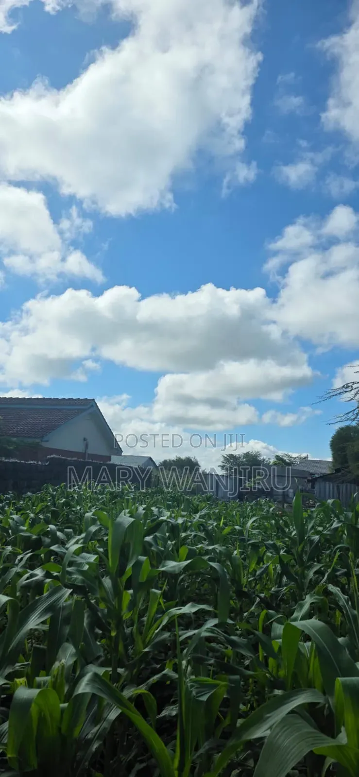 50/100 Commercial Plot in Kitengela