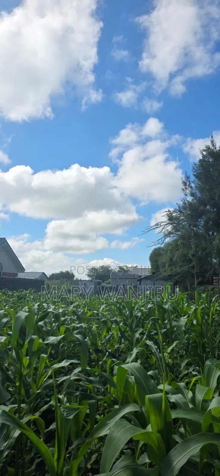50/100 Commercial Plot in Kitengela