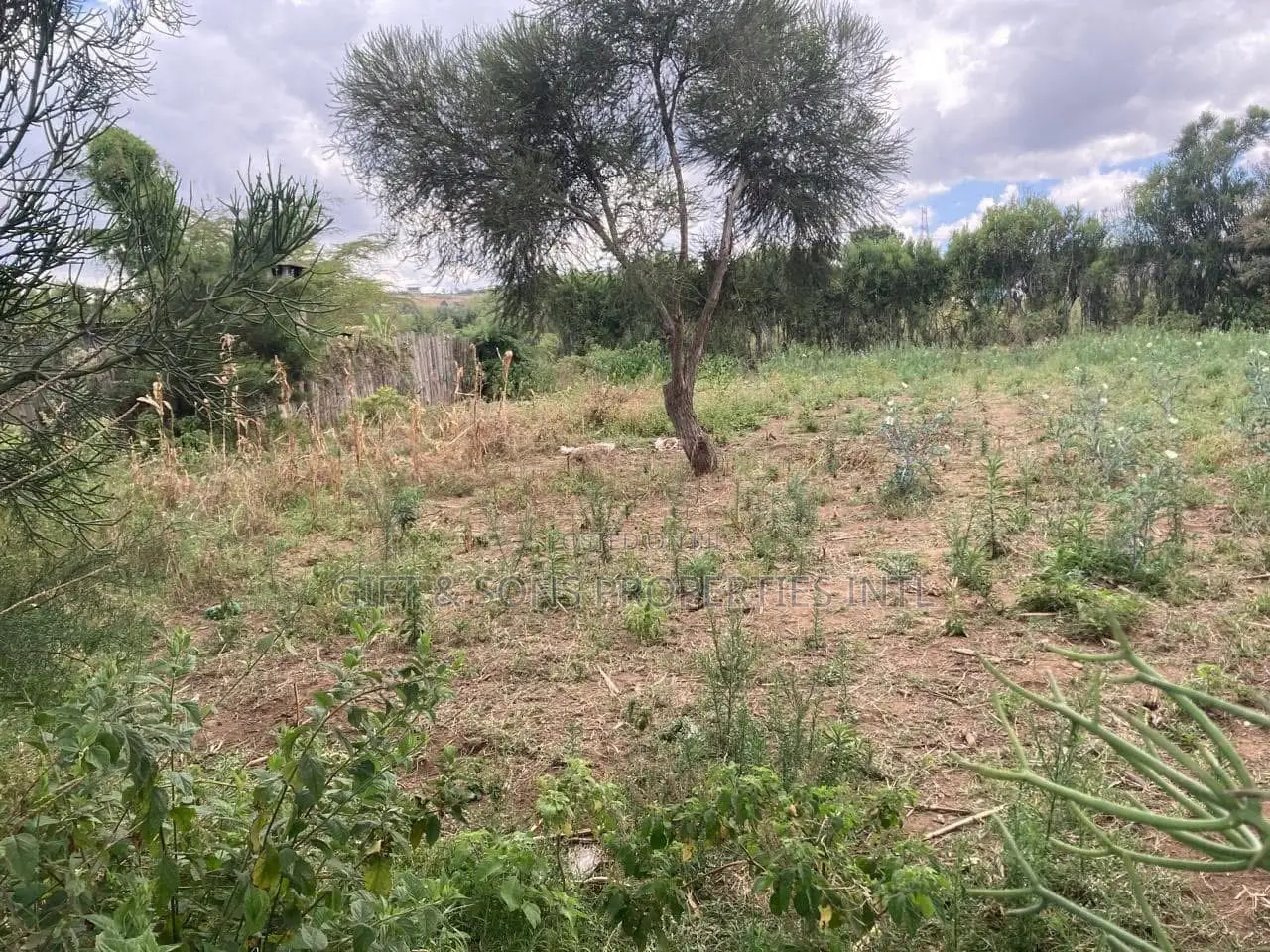 Residential Quarter Acre in Naivasha in Mirera