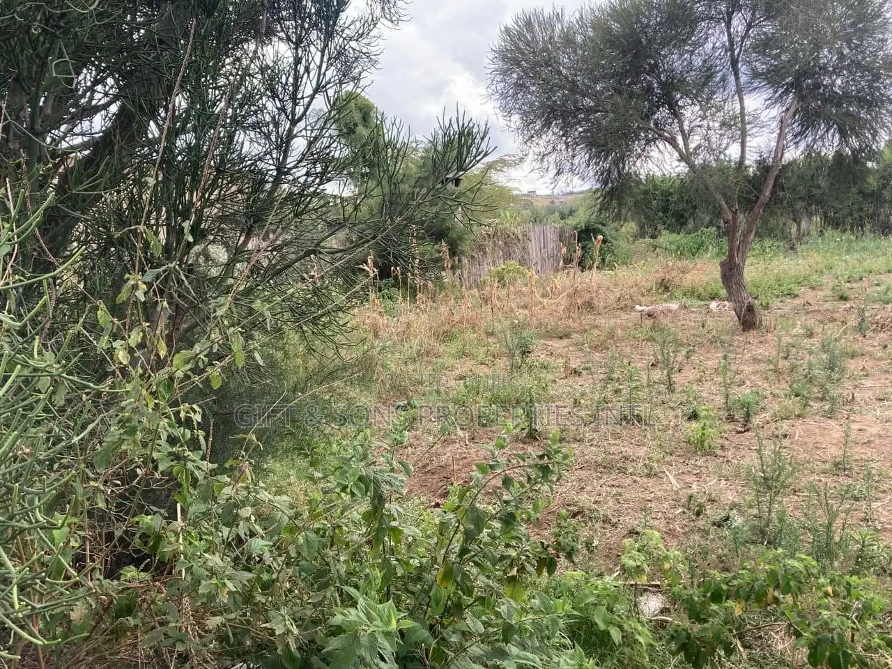 Residential Quarter Acre in Naivasha in Mirera