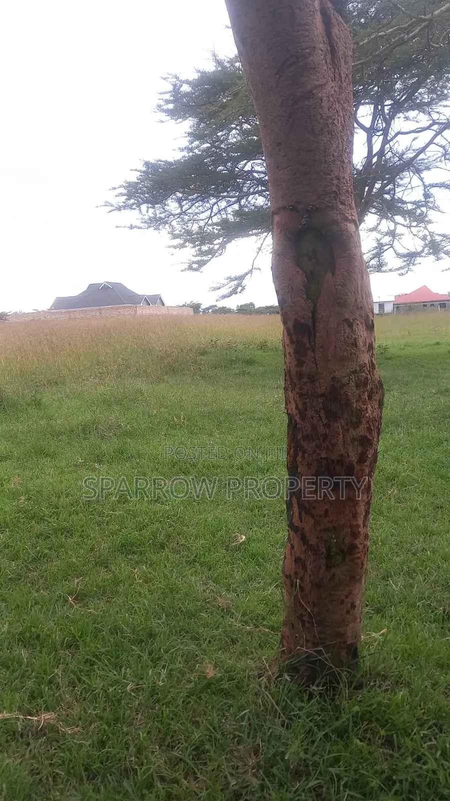 Nakuru 1acre Land in Mbaruk/Eburu