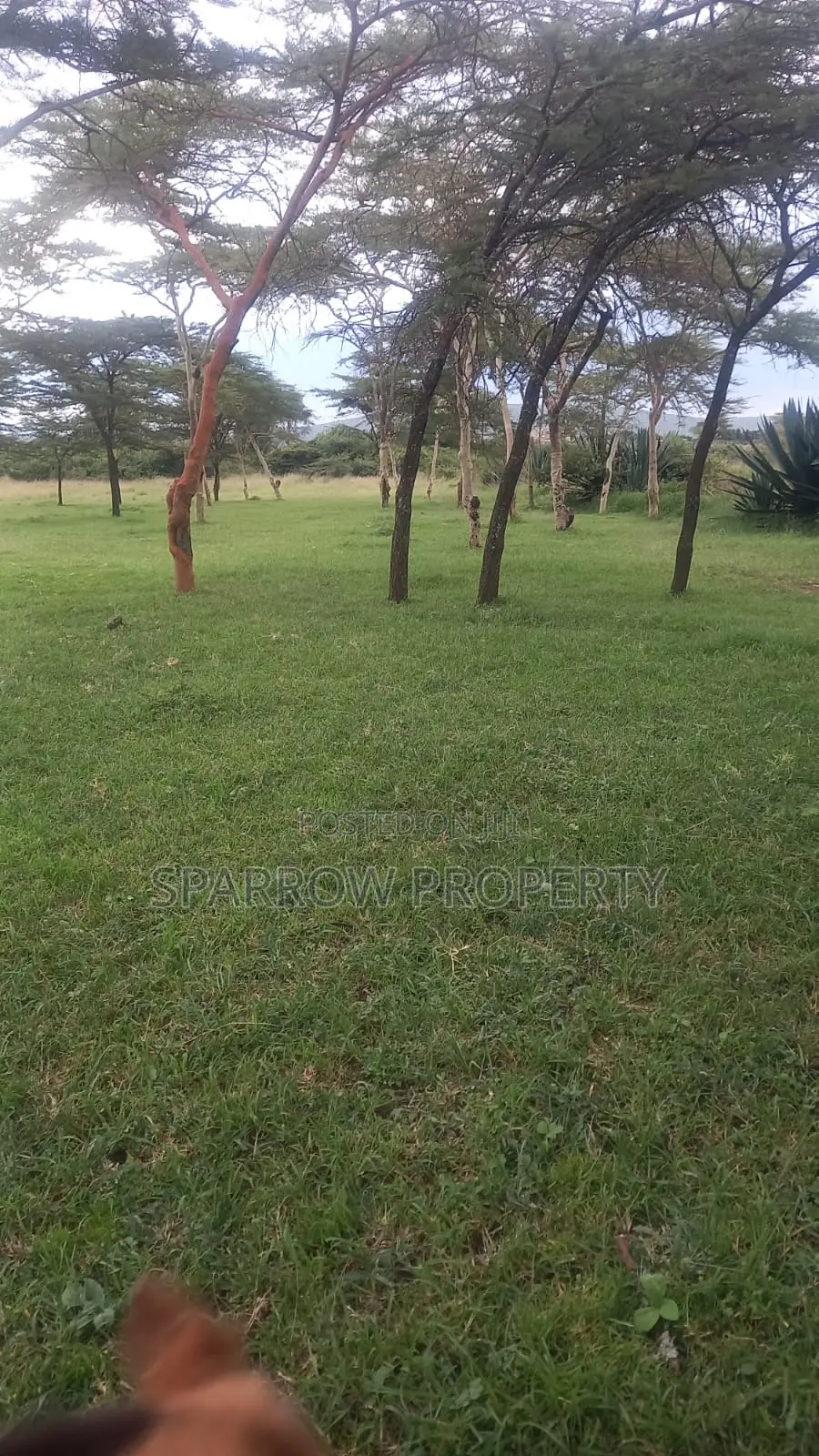 Nakuru 1acre Land in Mbaruk/Eburu