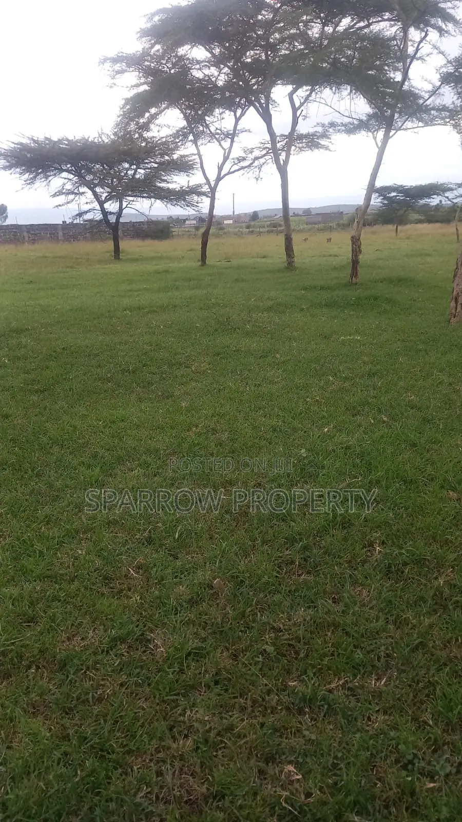 Nakuru 1acre Land in Mbaruk/Eburu