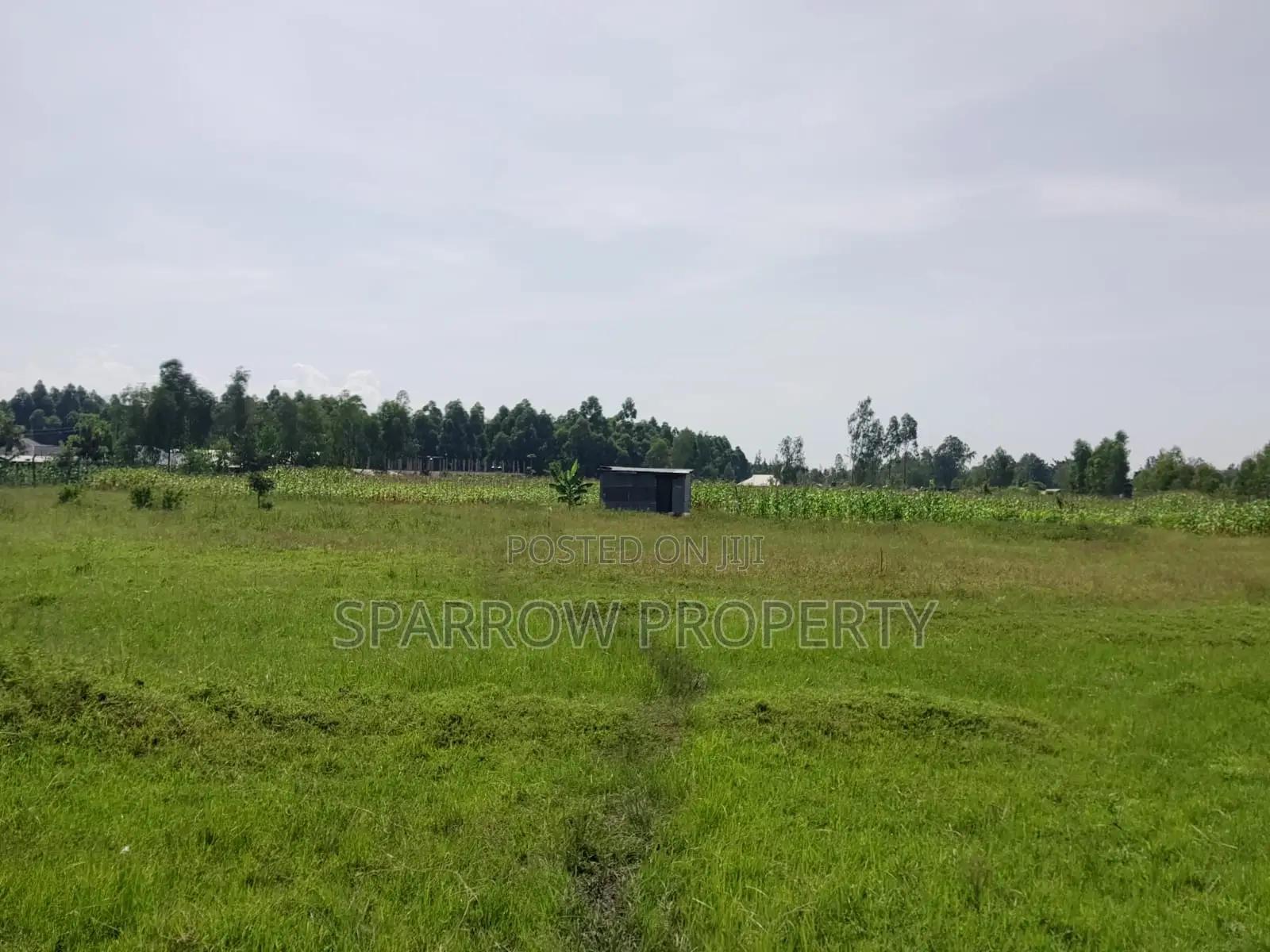 Kisumu Industrial Land in Kolwa Central