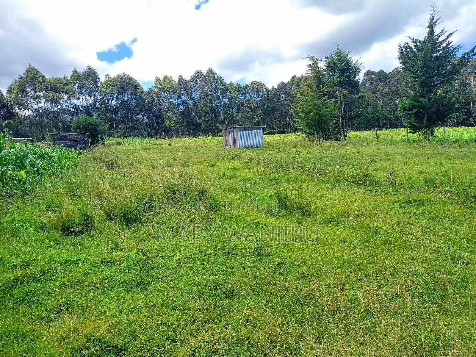 18 Acres for Sale in North Kinangop