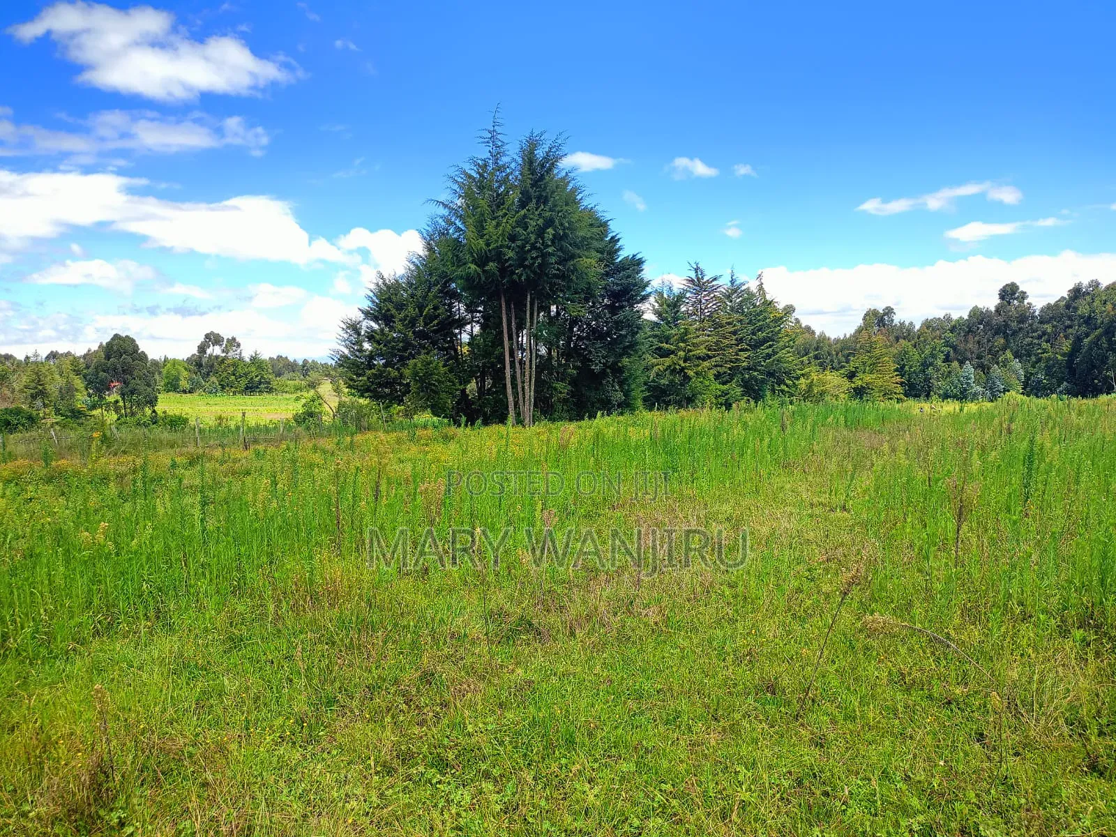18 Acres for Sale in North Kinangop