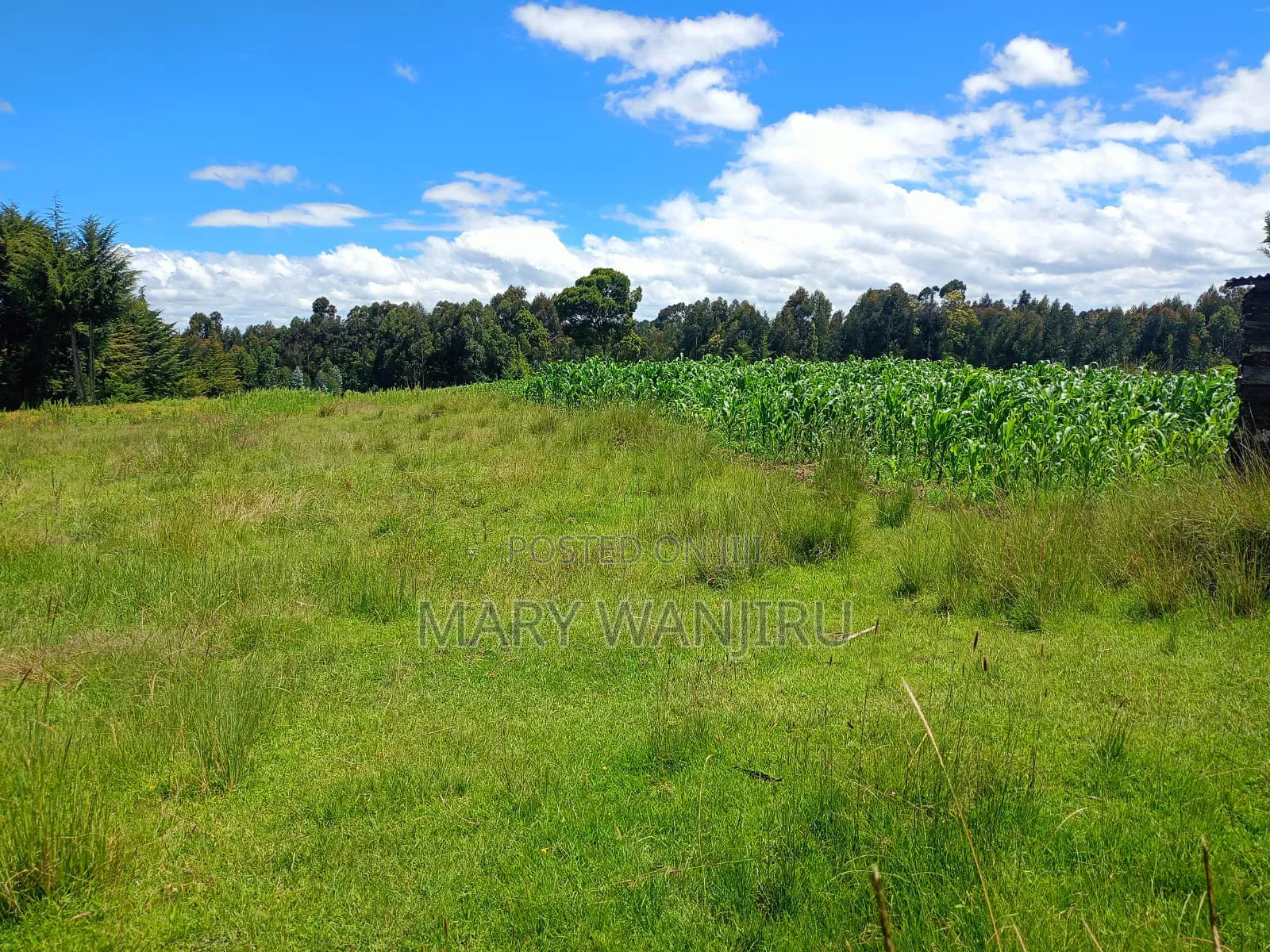 18 Acres for Sale in North Kinangop
