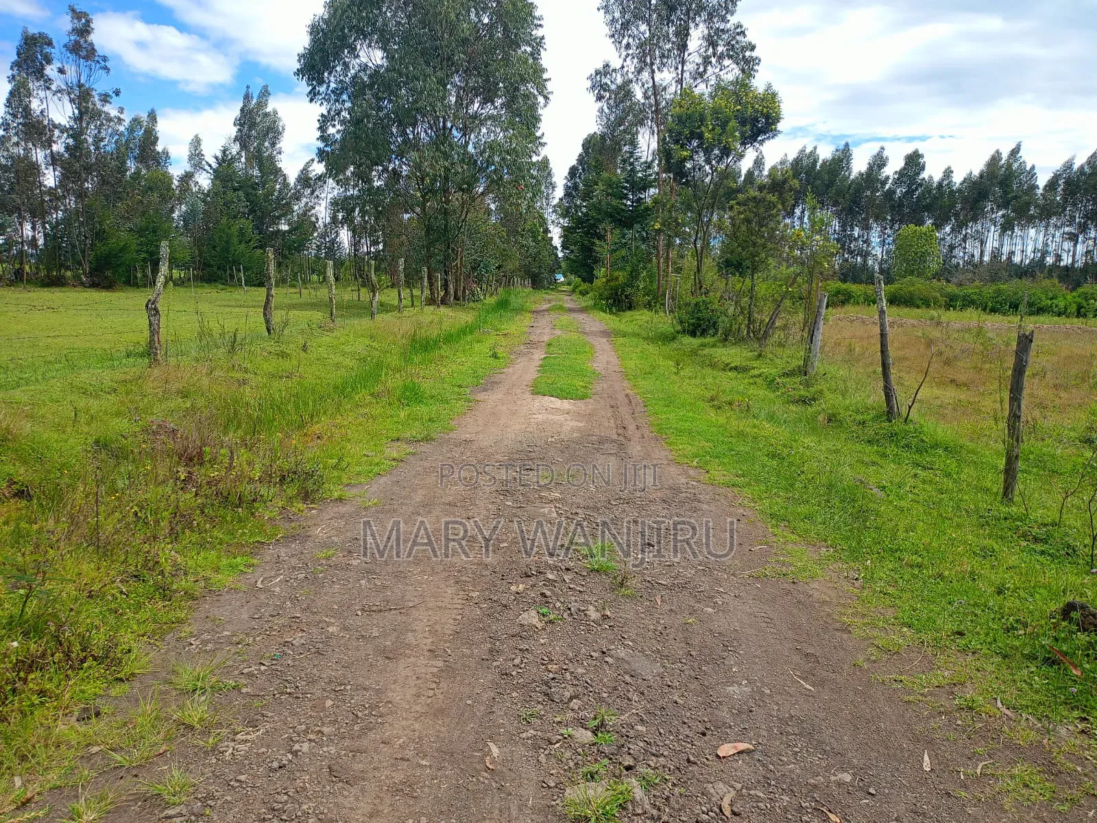 18 Acres for Sale in North Kinangop