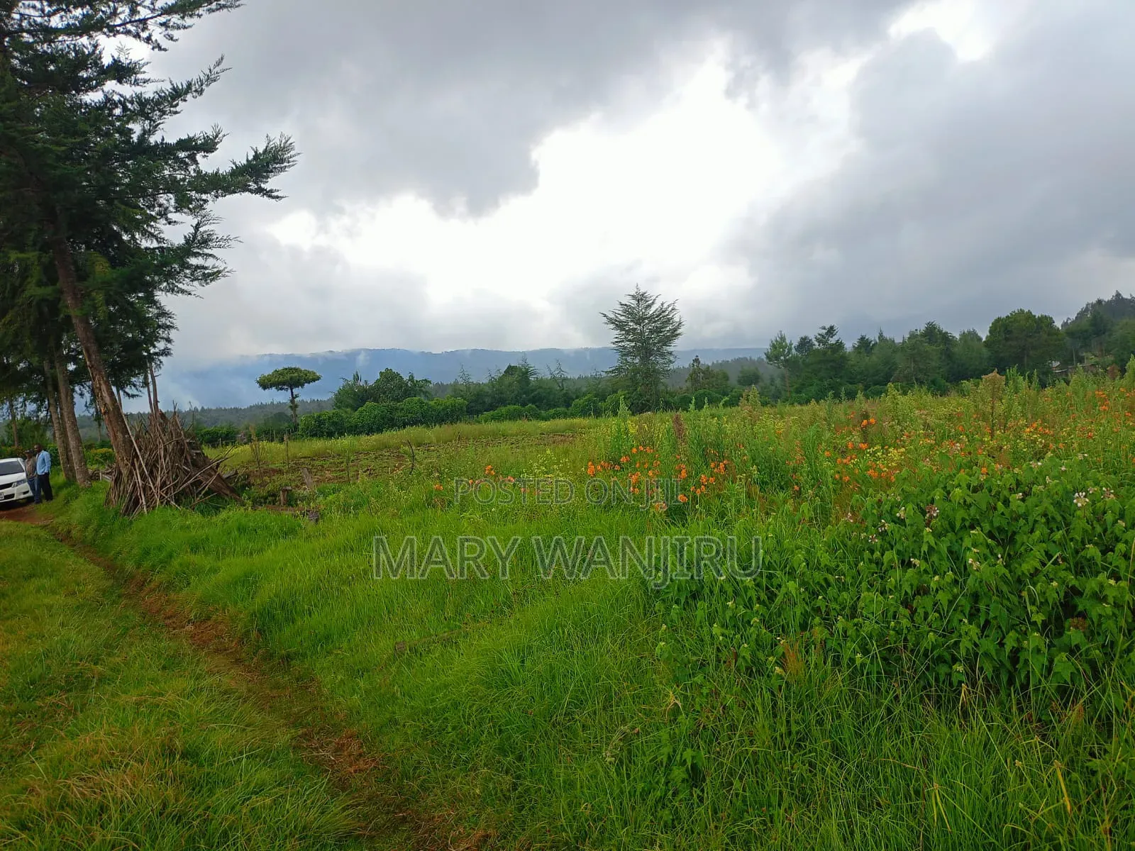 19 Acres for Sale in NjabiniKiburu