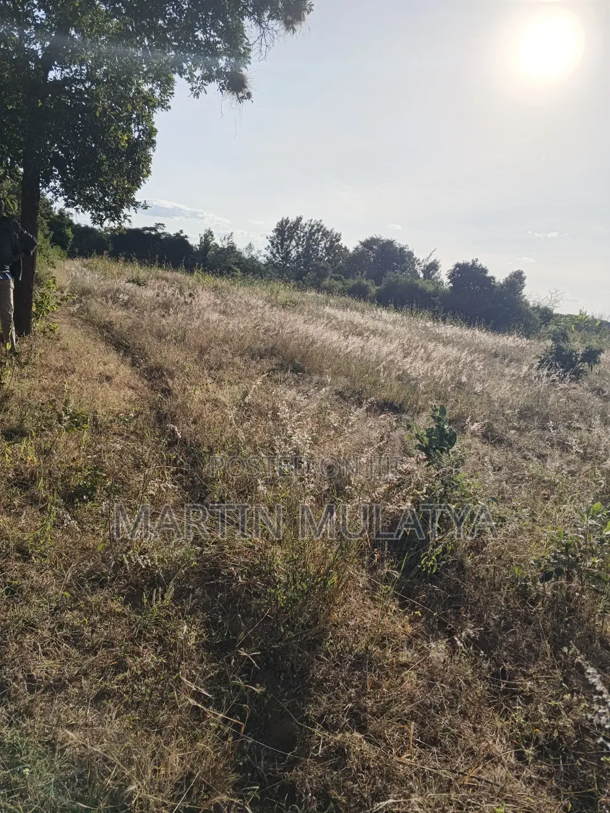 1acre at Nguluni in Nguluni
