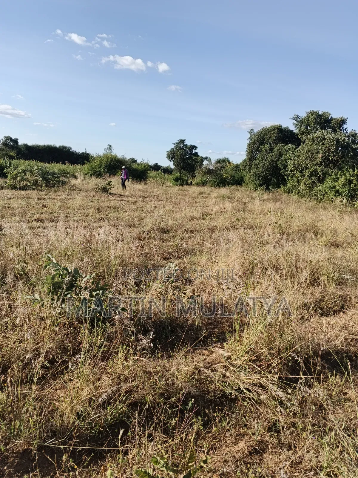 1acre at Nguluni in Nguluni