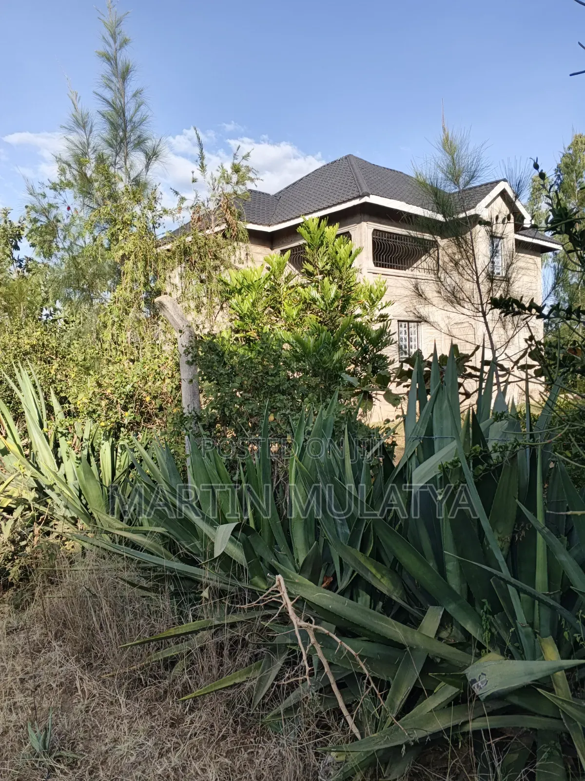 1acre at Nguluni in Nguluni