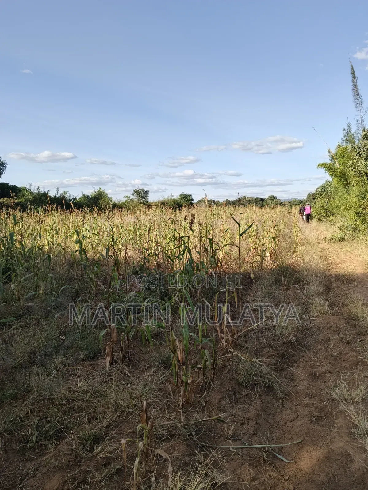 1acre at Nguluni in Nguluni