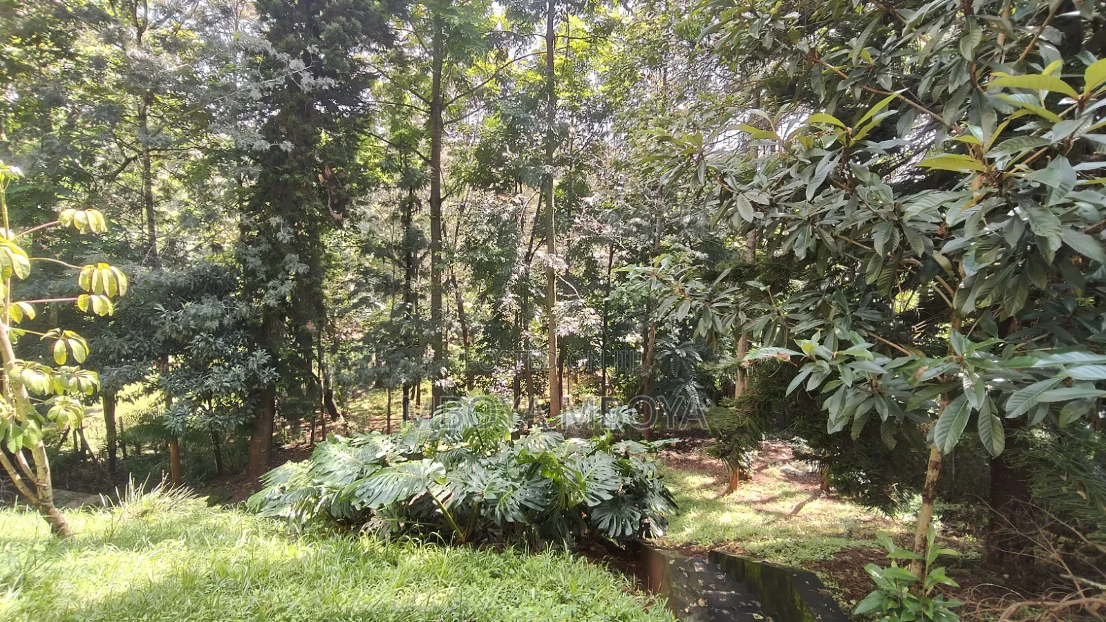 .87 Acres Land for Sale in Kyuna in Kyuna Estate