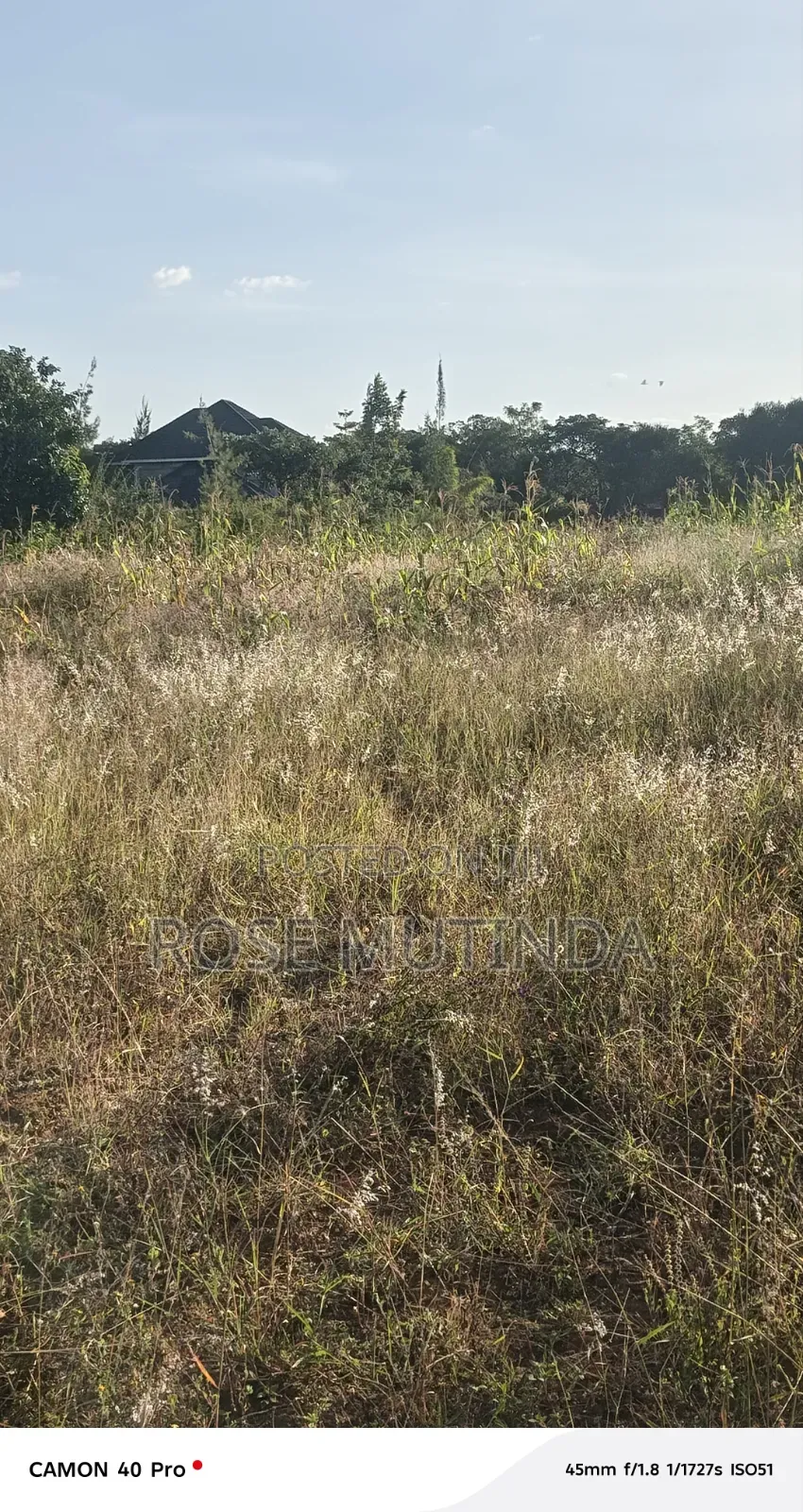 1acre at Nguluni in Nguluni
