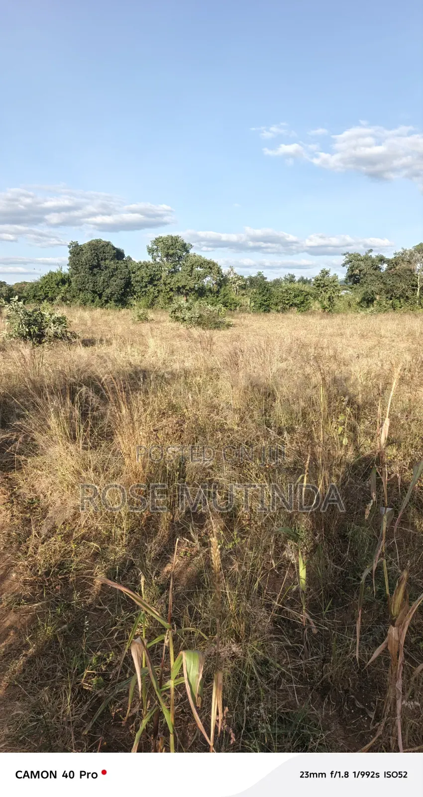 1acre at Nguluni in Nguluni