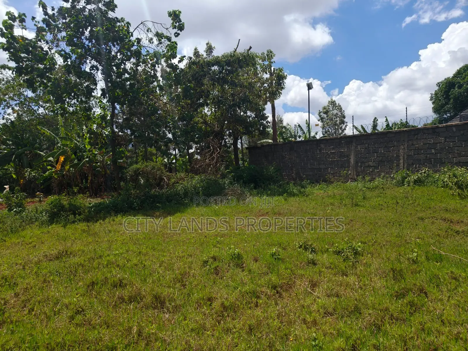 Residential Plots in Ruiru Mugutha, Ready Title Deeds in Kwa Kairu